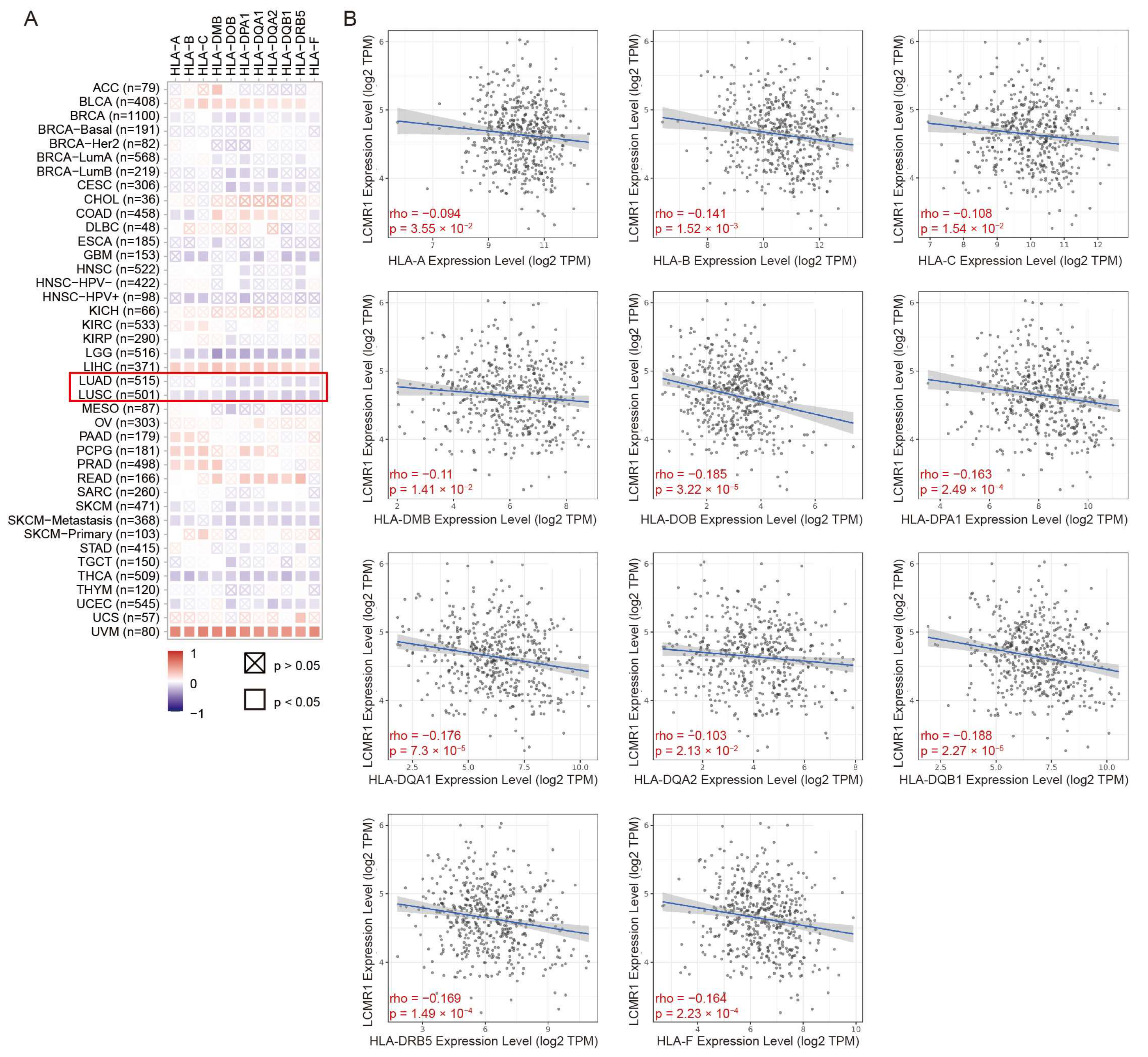 Cancers 15 05445 g006