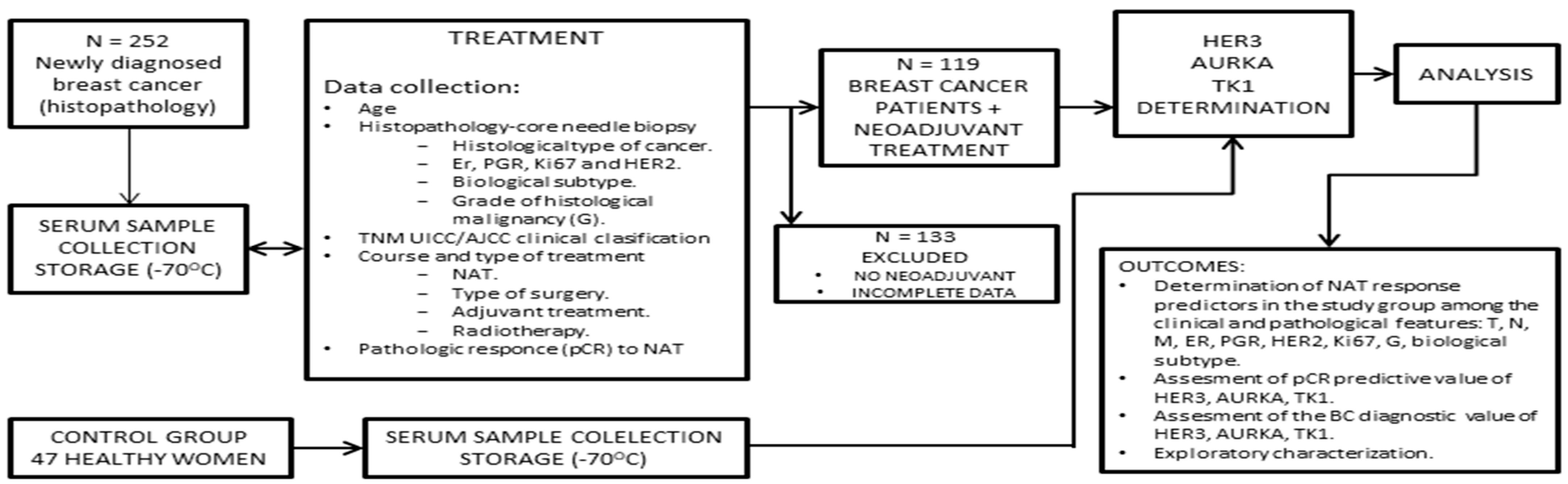 Cancers 15 05446 g001