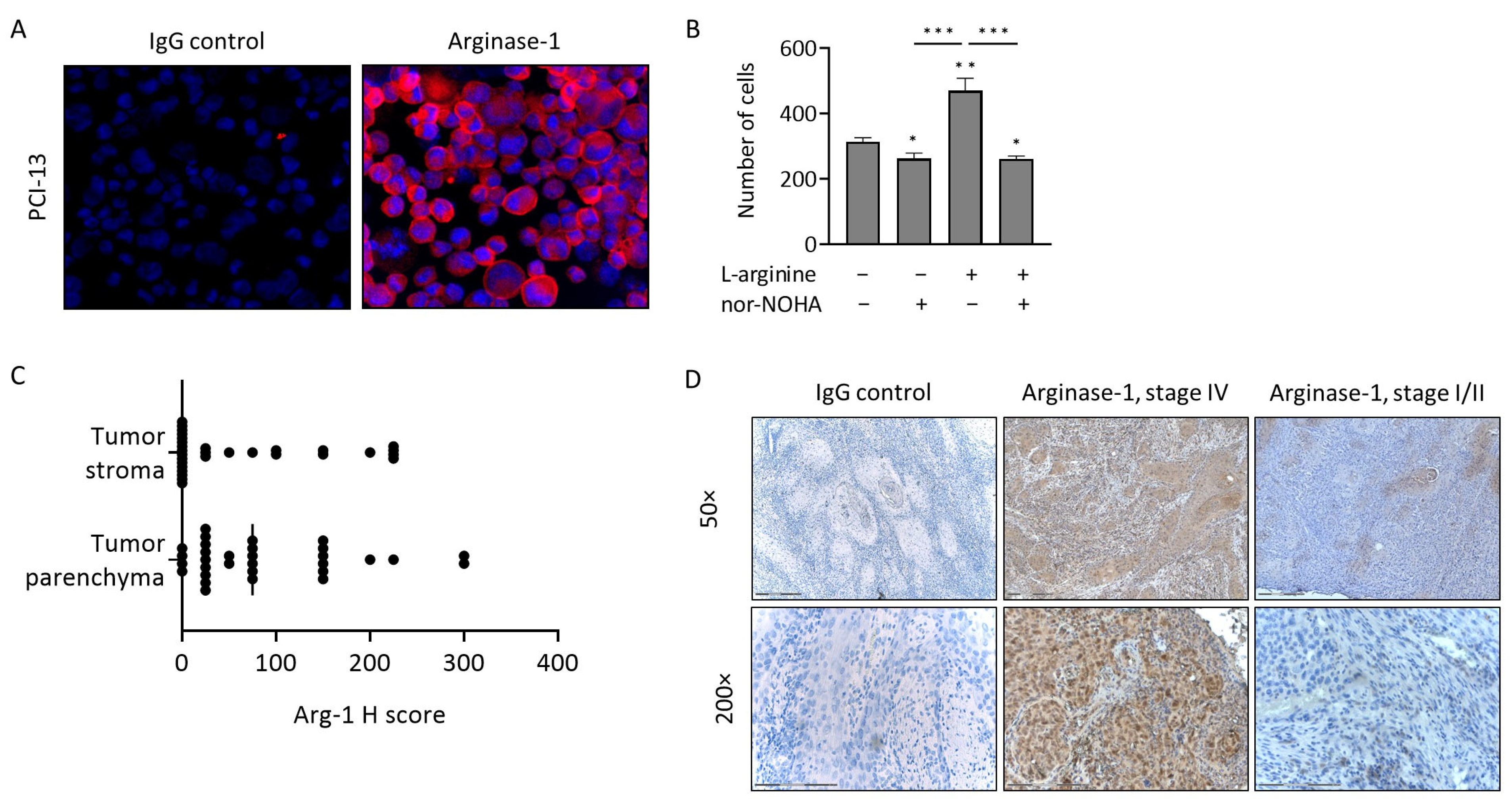 Cancers 15 05449 g001 Cancers 15 05449 g001