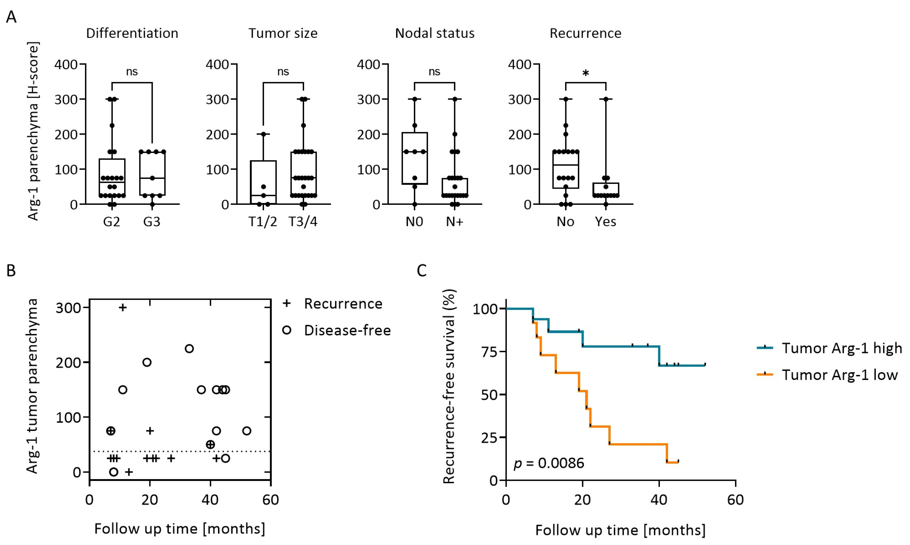 Cancers 15 05449 g002 Cancers 15 05449 g002