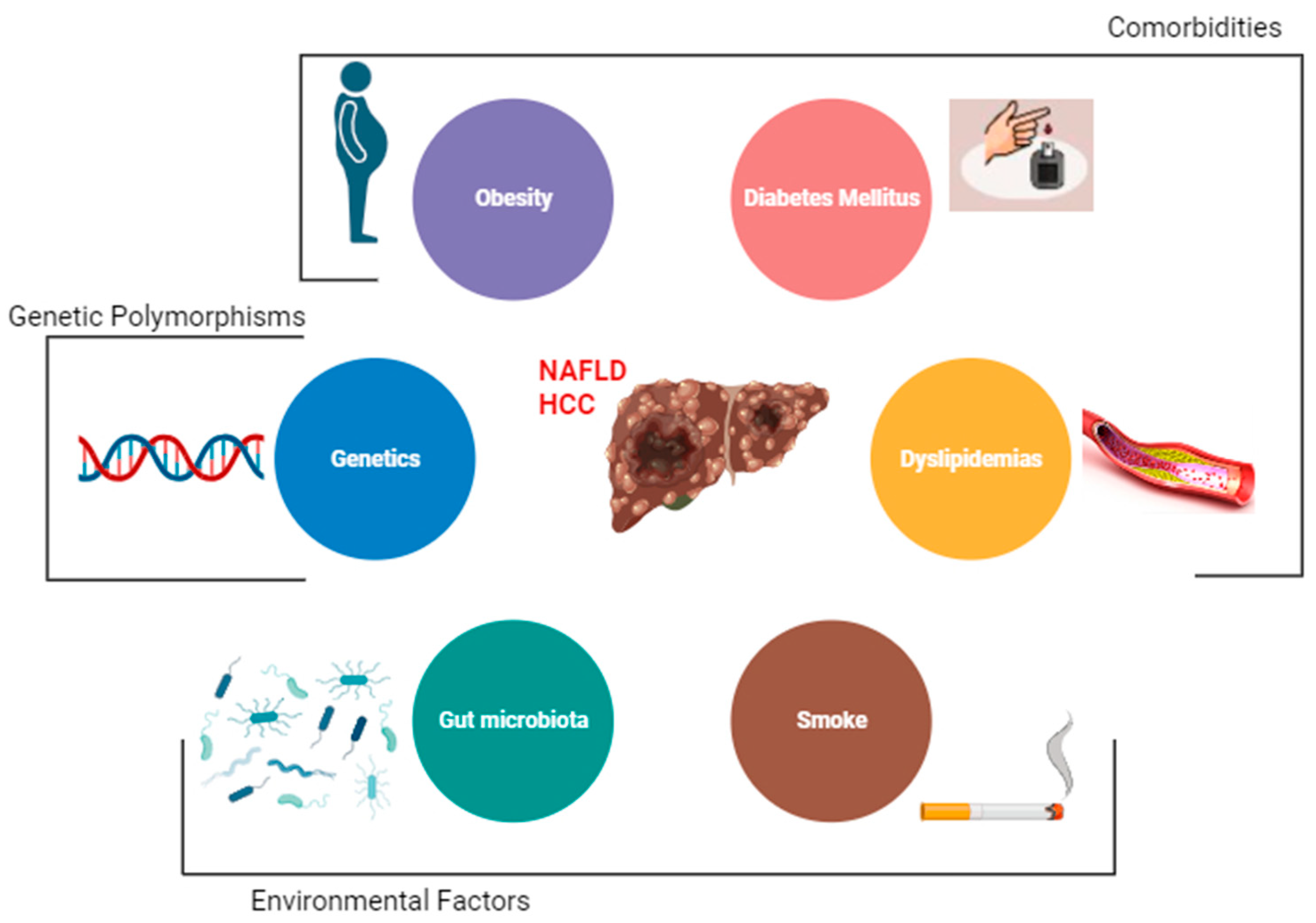 Cancers 15 05458 g001