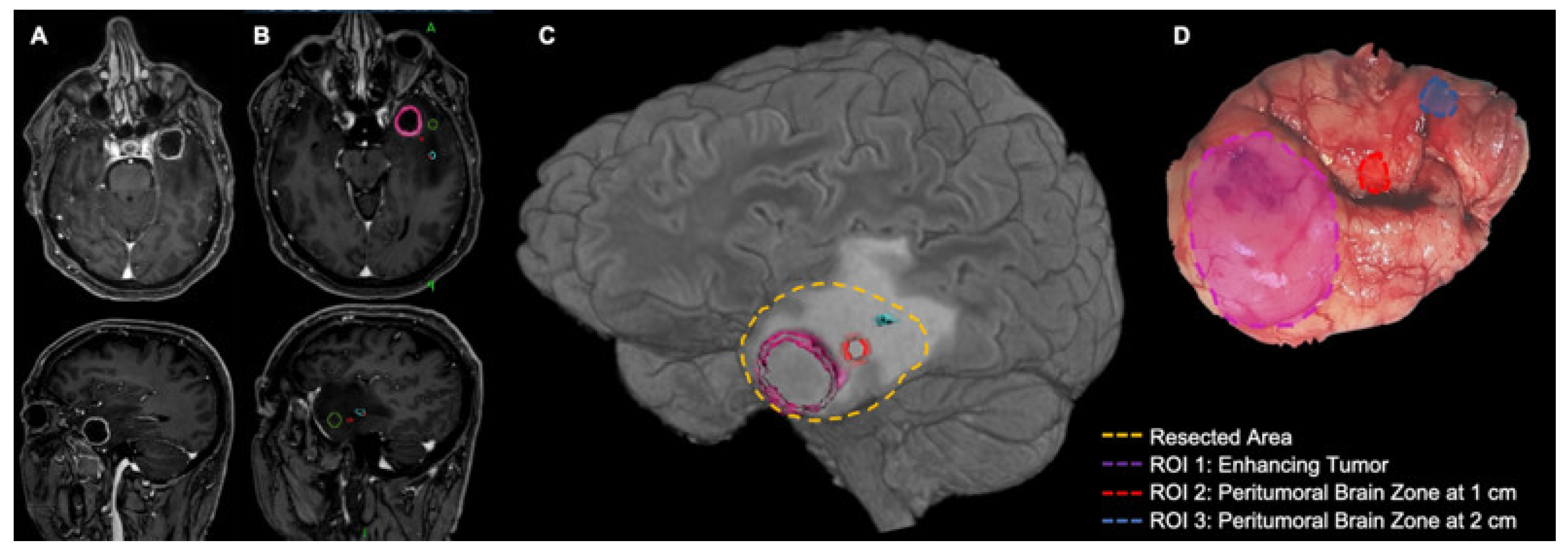 Cancers 15 05460 g001