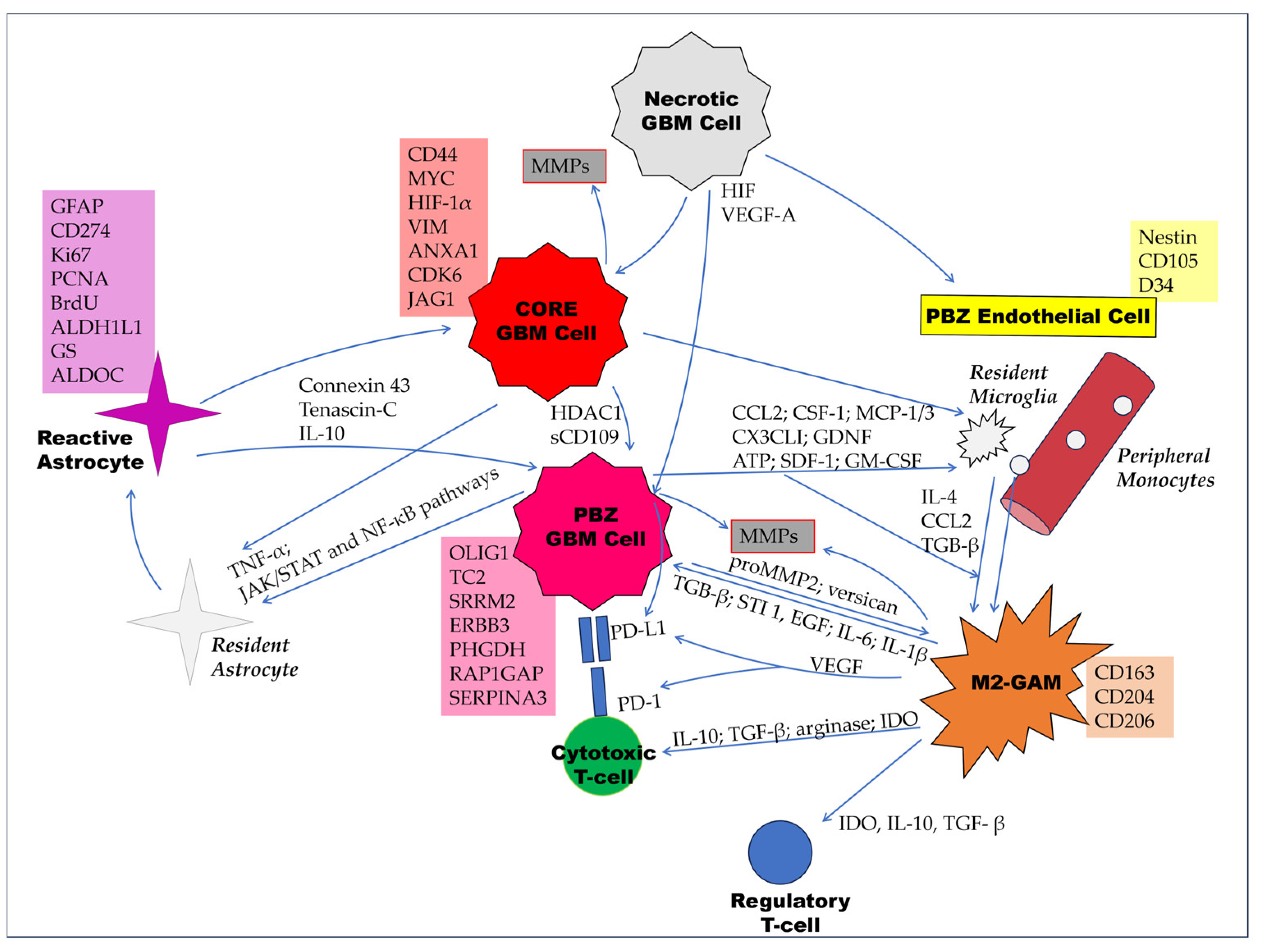 Cancers 15 05460 g003