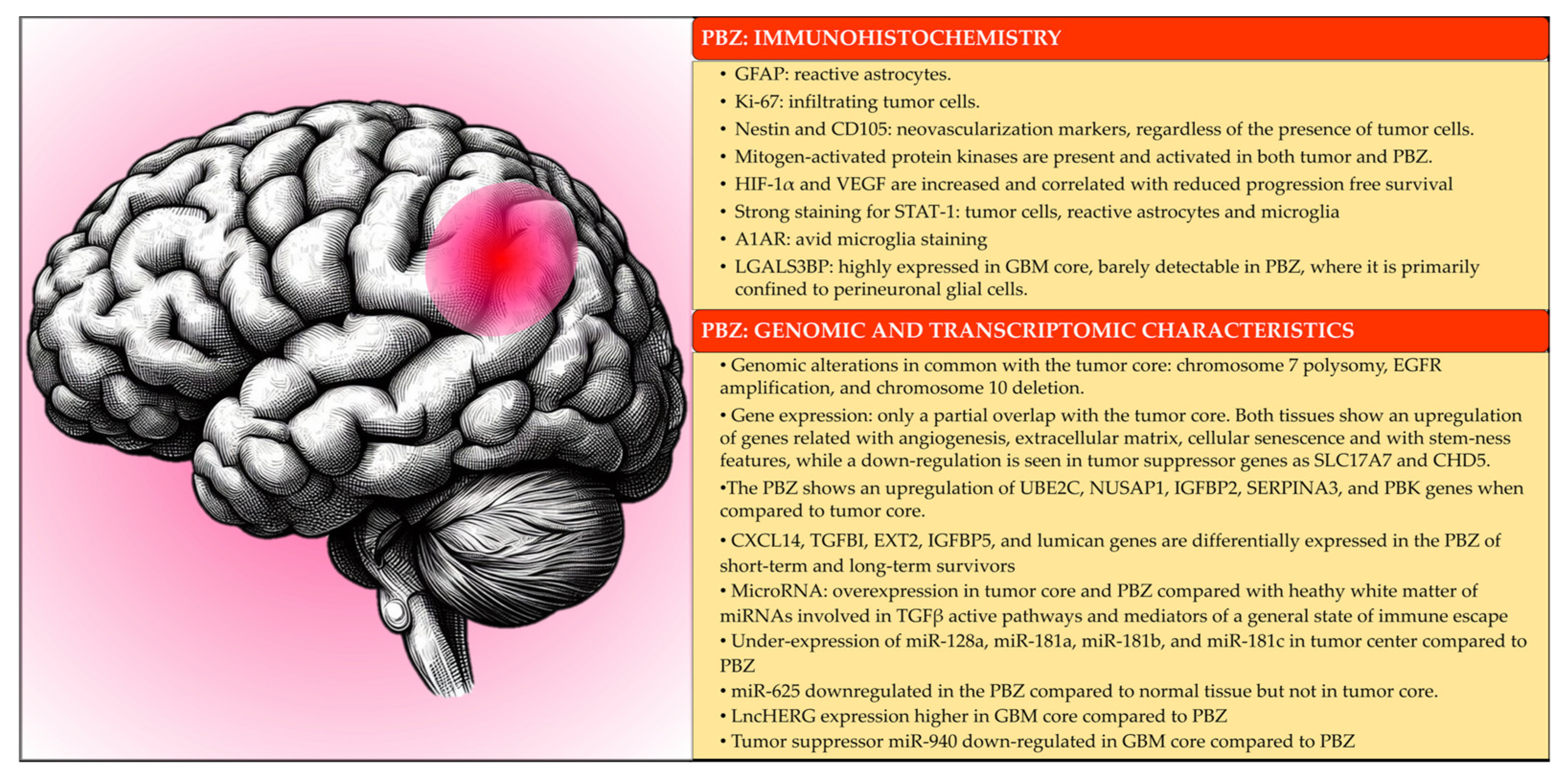 Cancers 15 05460 g004