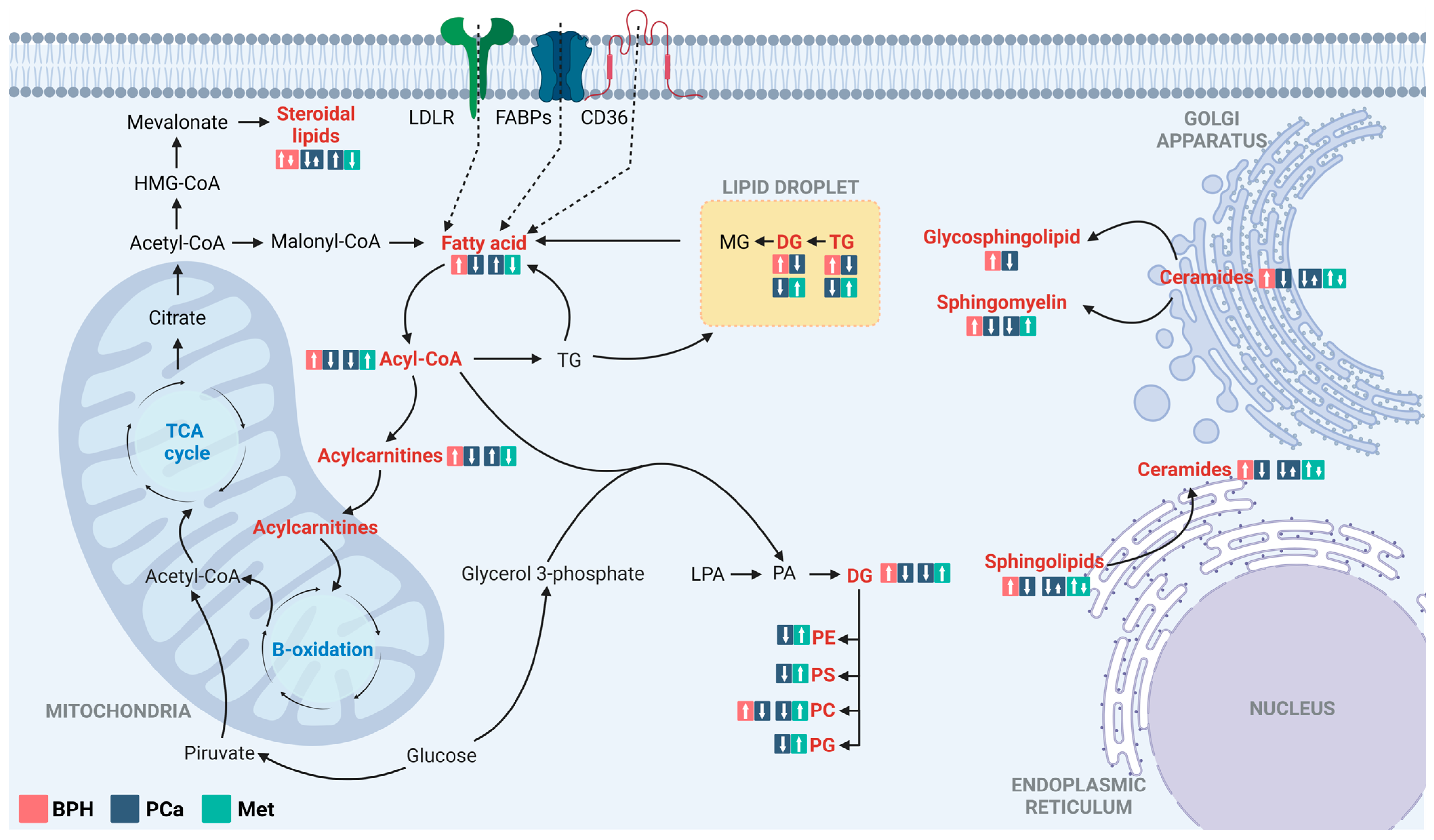 Cancers 15 05465 g006