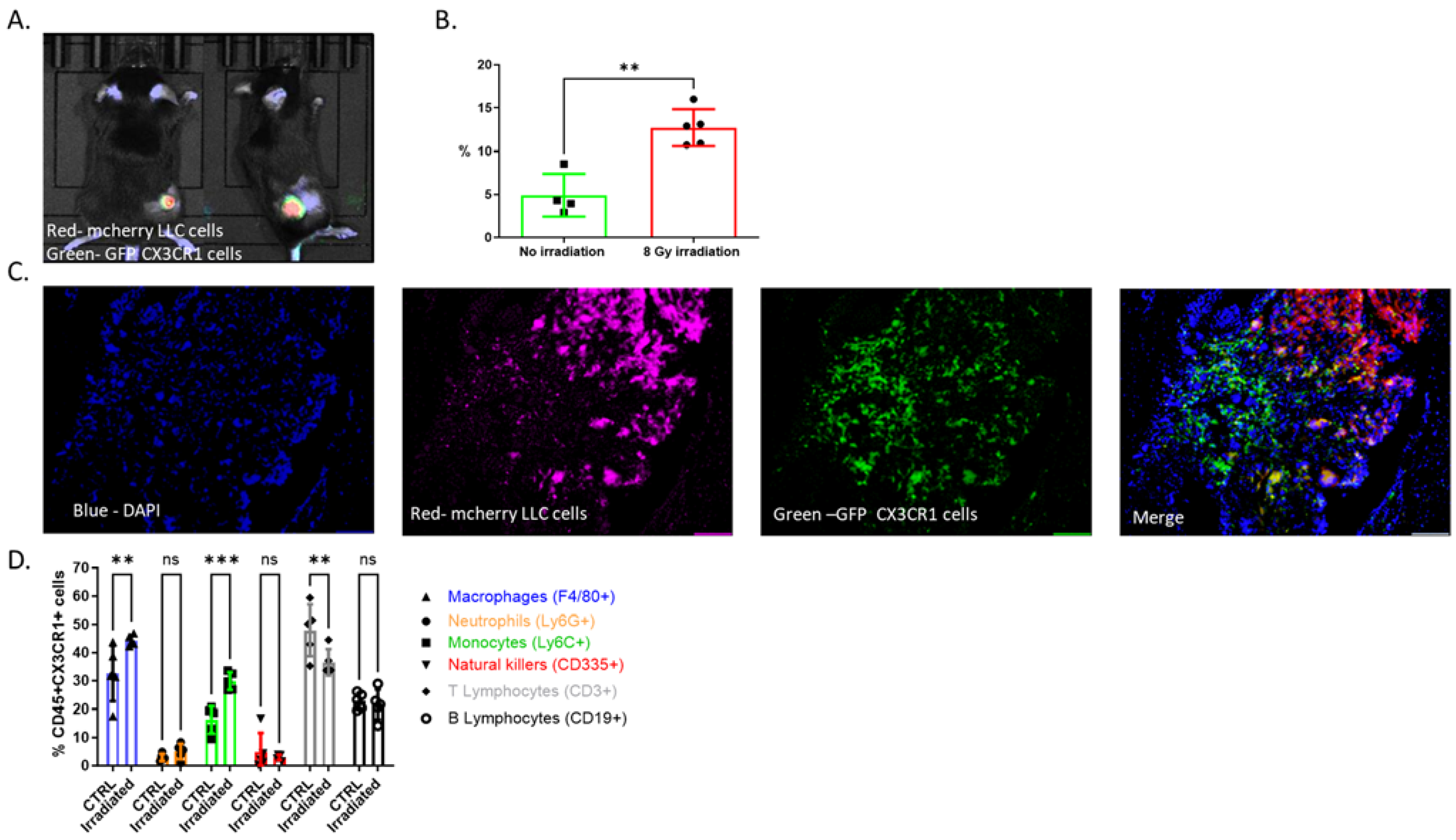 Cancers 15 05472 g001 Cancers 15 05472 g001