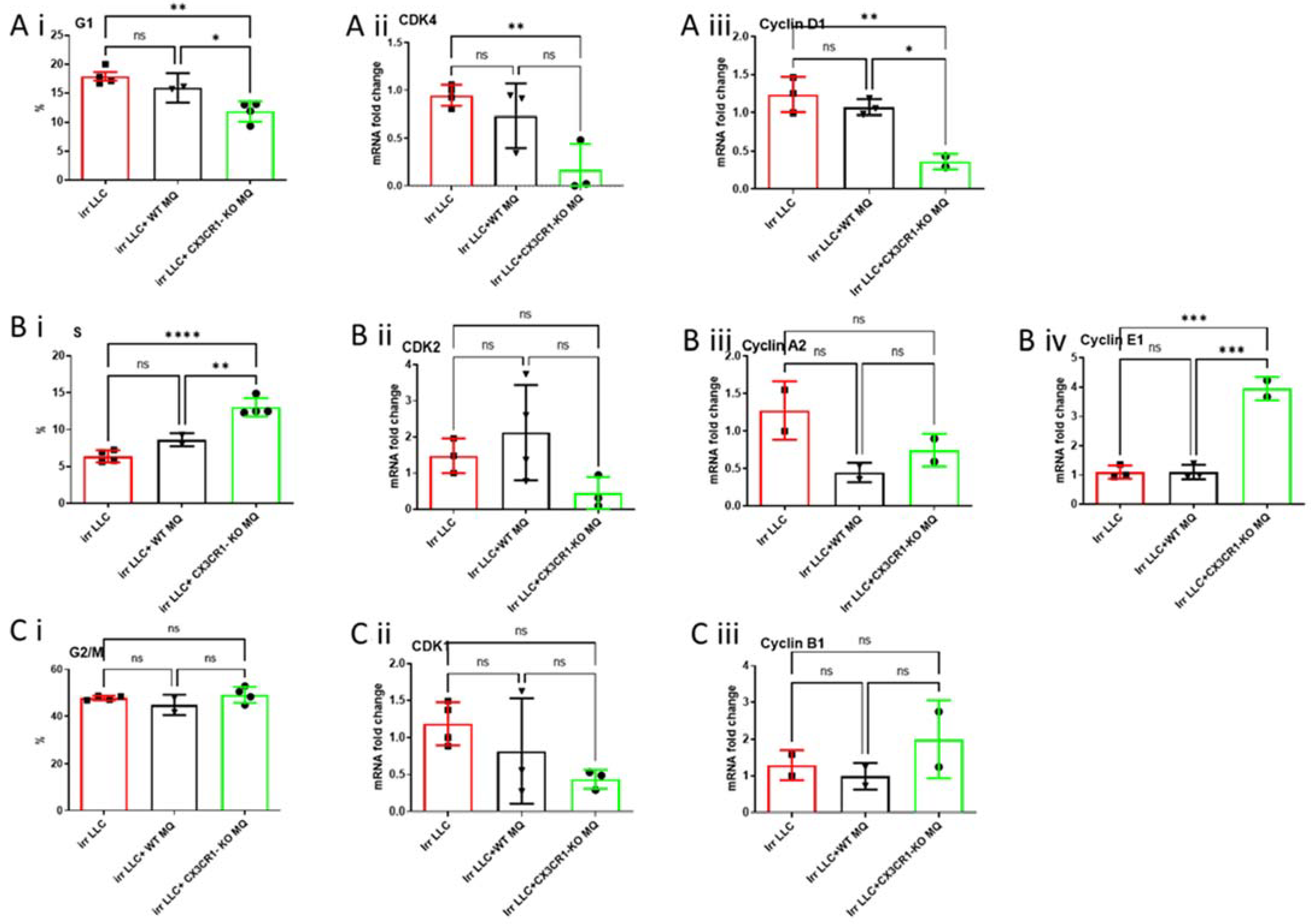 Cancers 15 05472 g004 Cancers 15 05472 g004