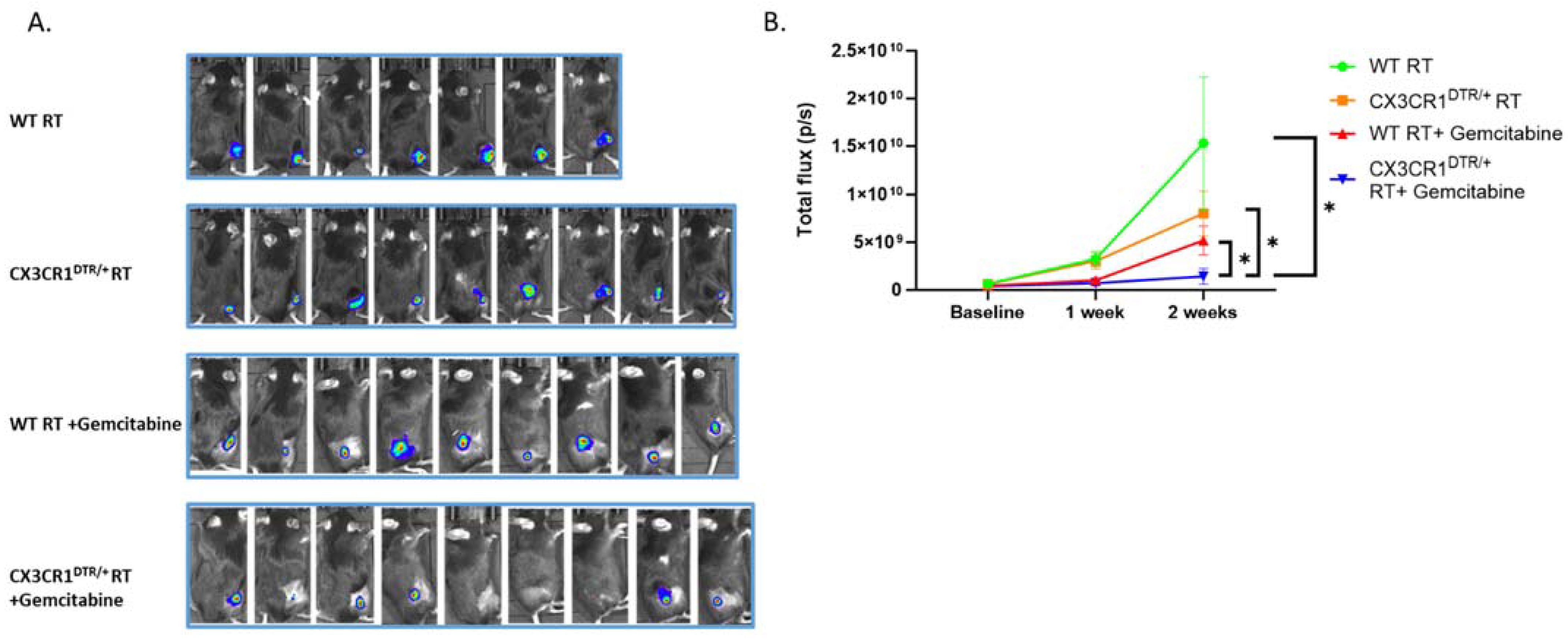 Cancers 15 05472 g006 Cancers 15 05472 g006