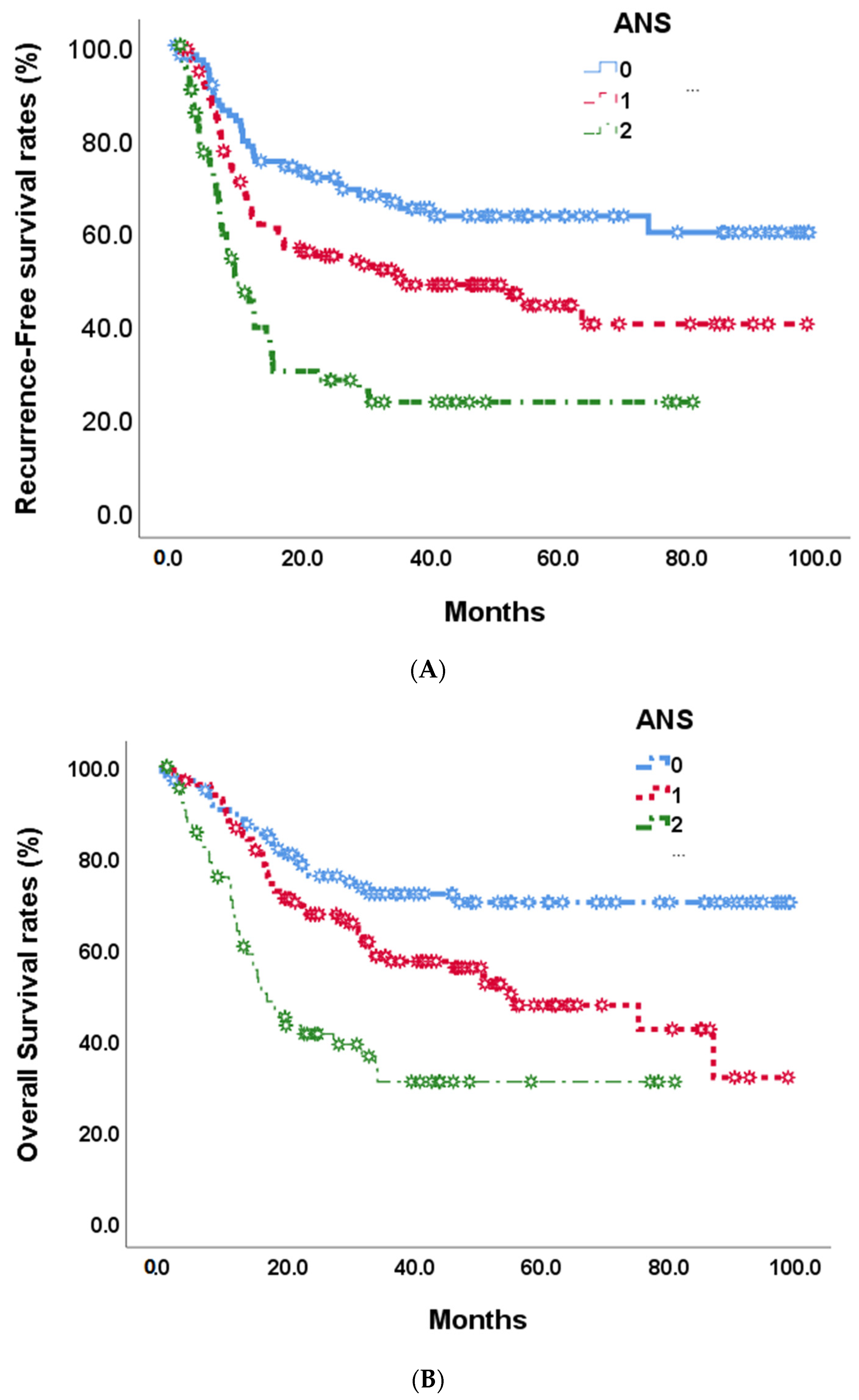 Cancers 15 05474 g003