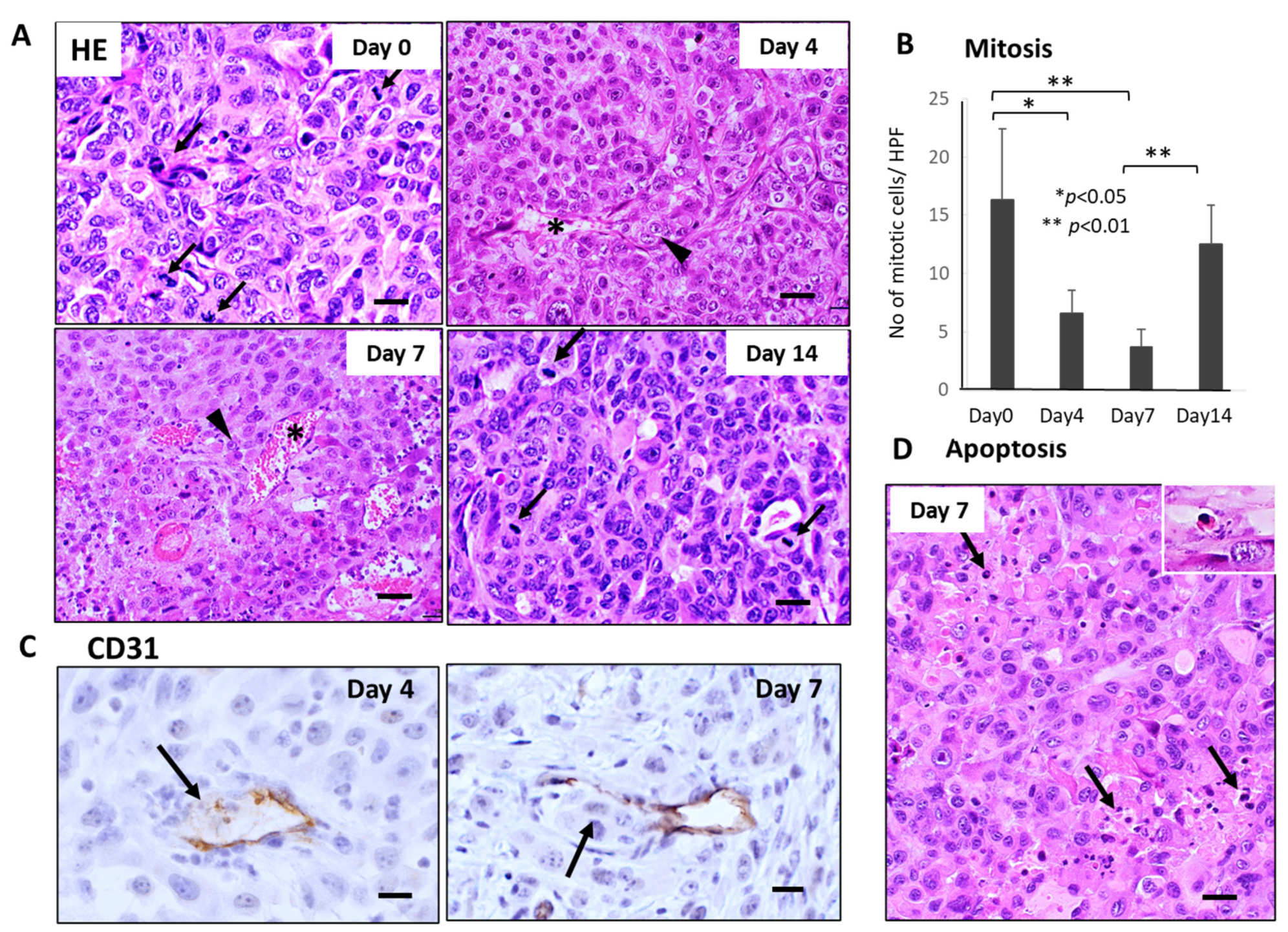 Cancers 15 05482 g003