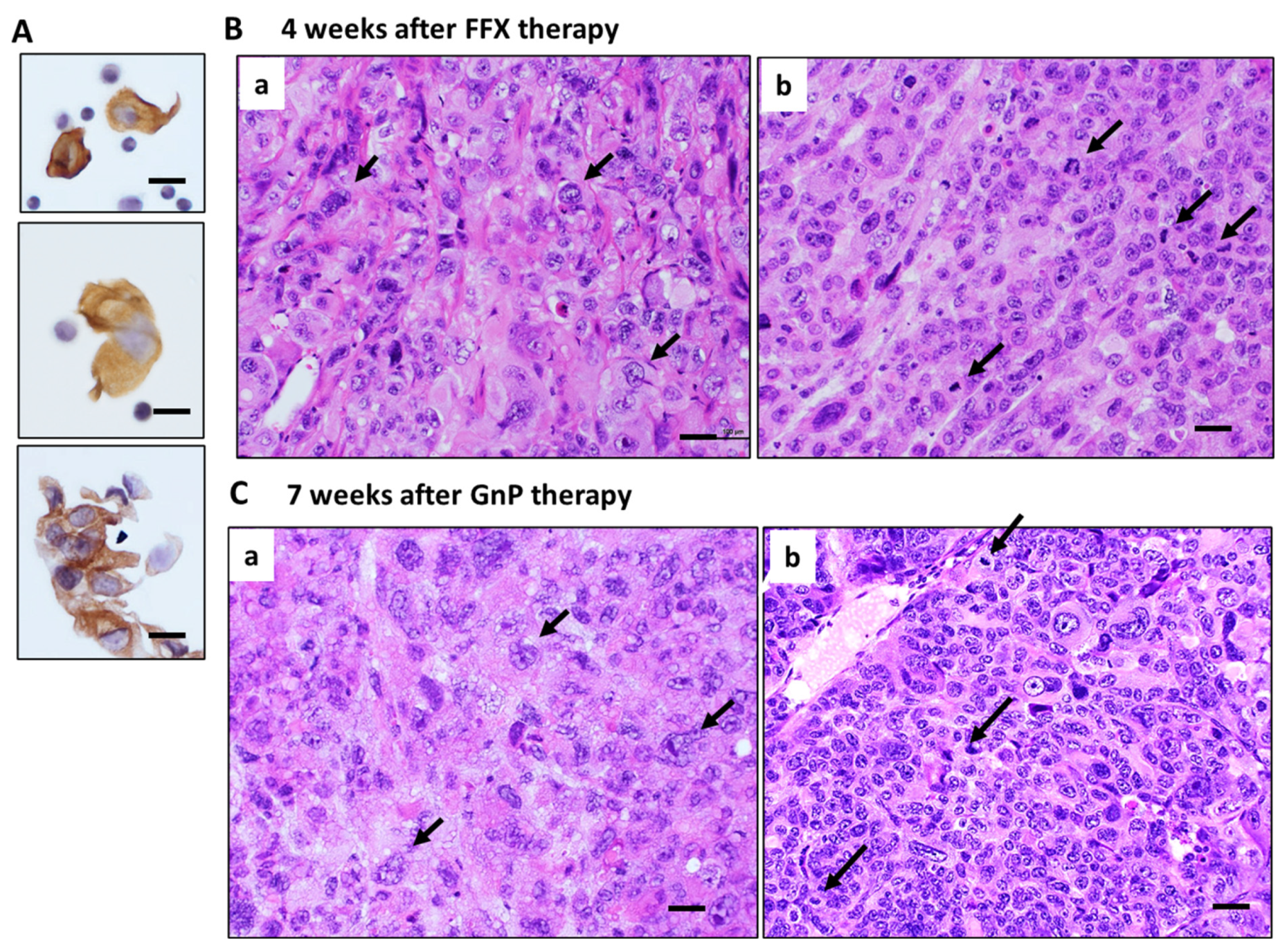 Cancers 15 05482 g006