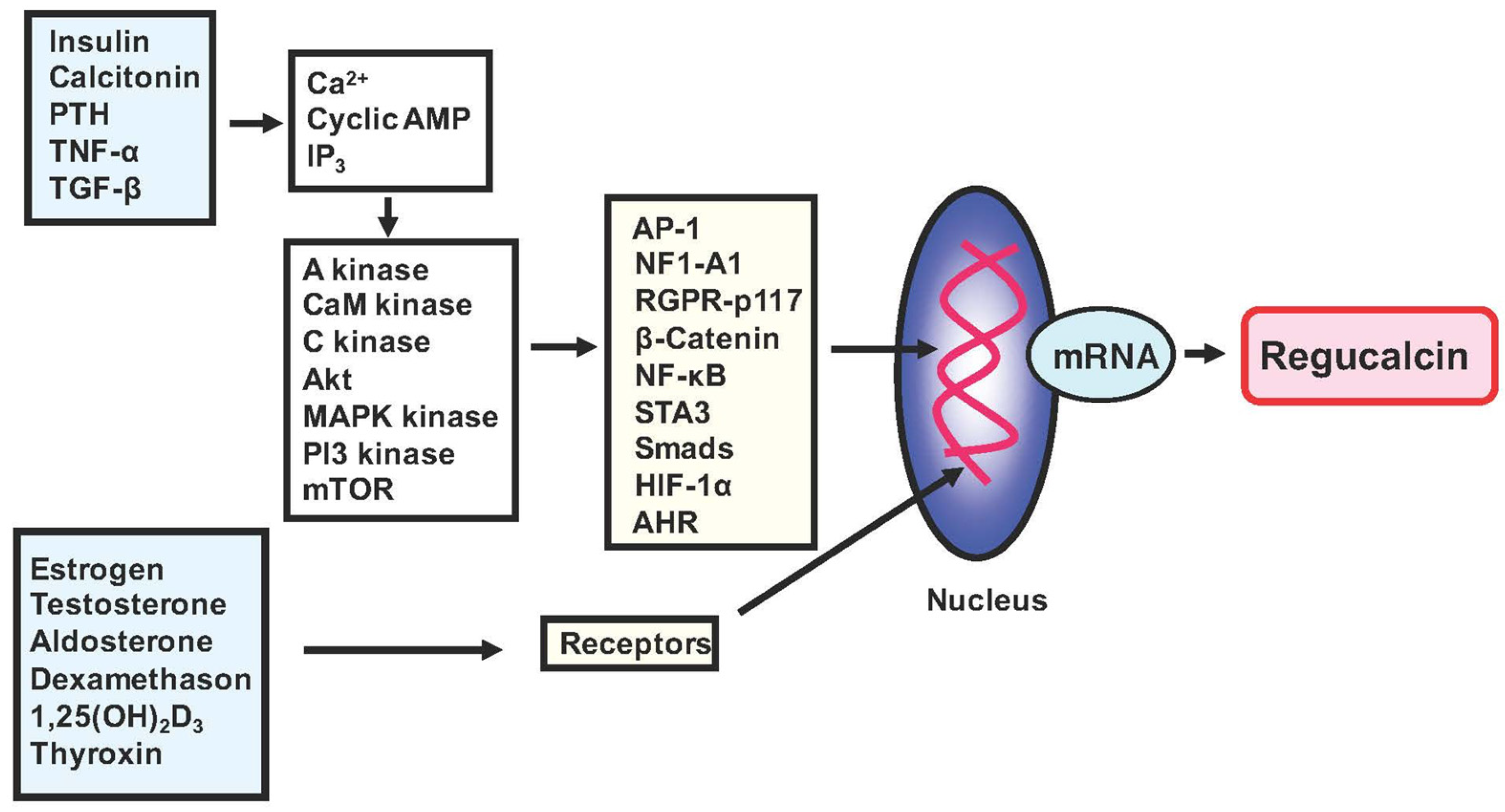 Cancers 15 05489 g001