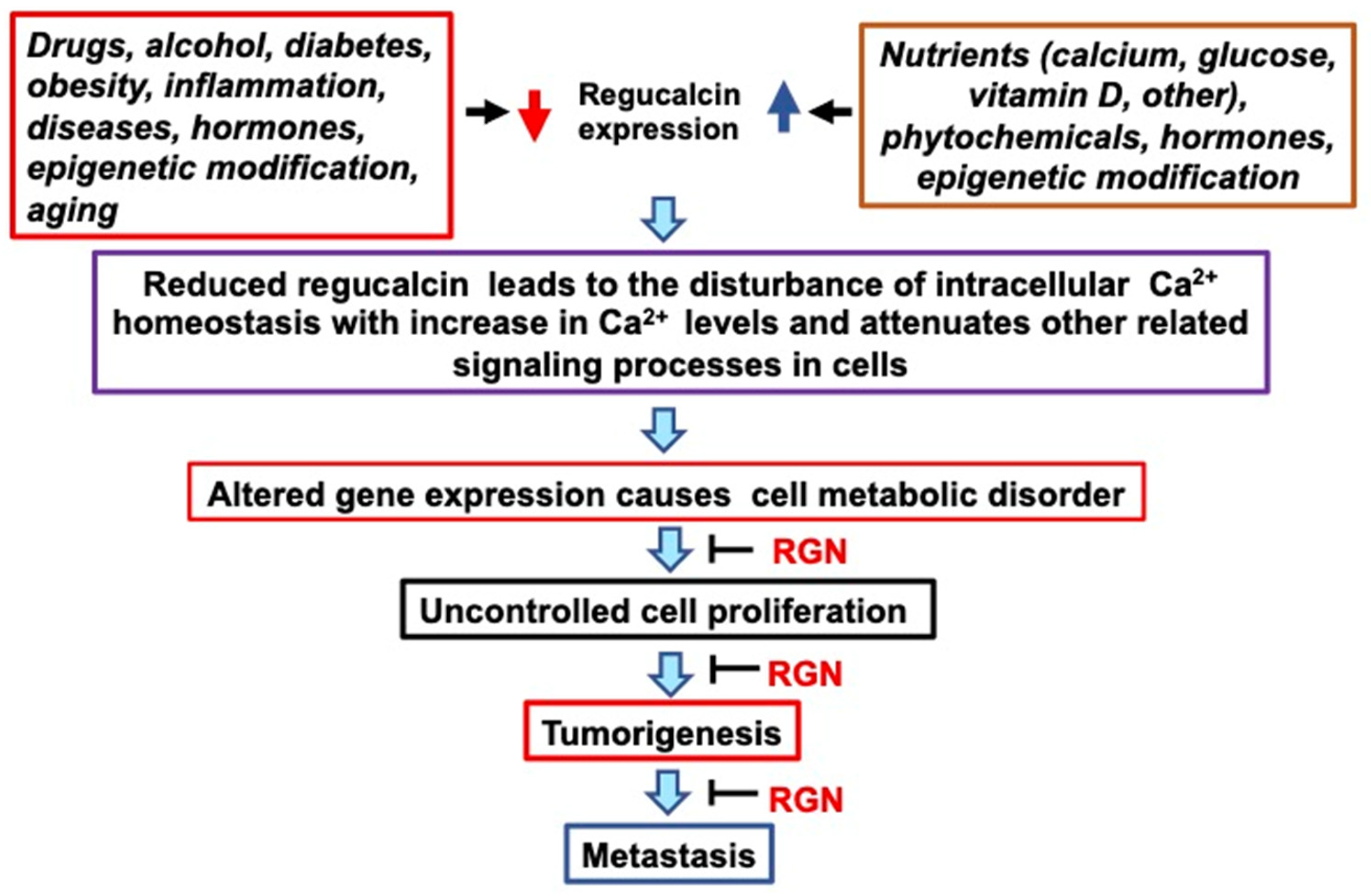 Cancers 15 05489 g005