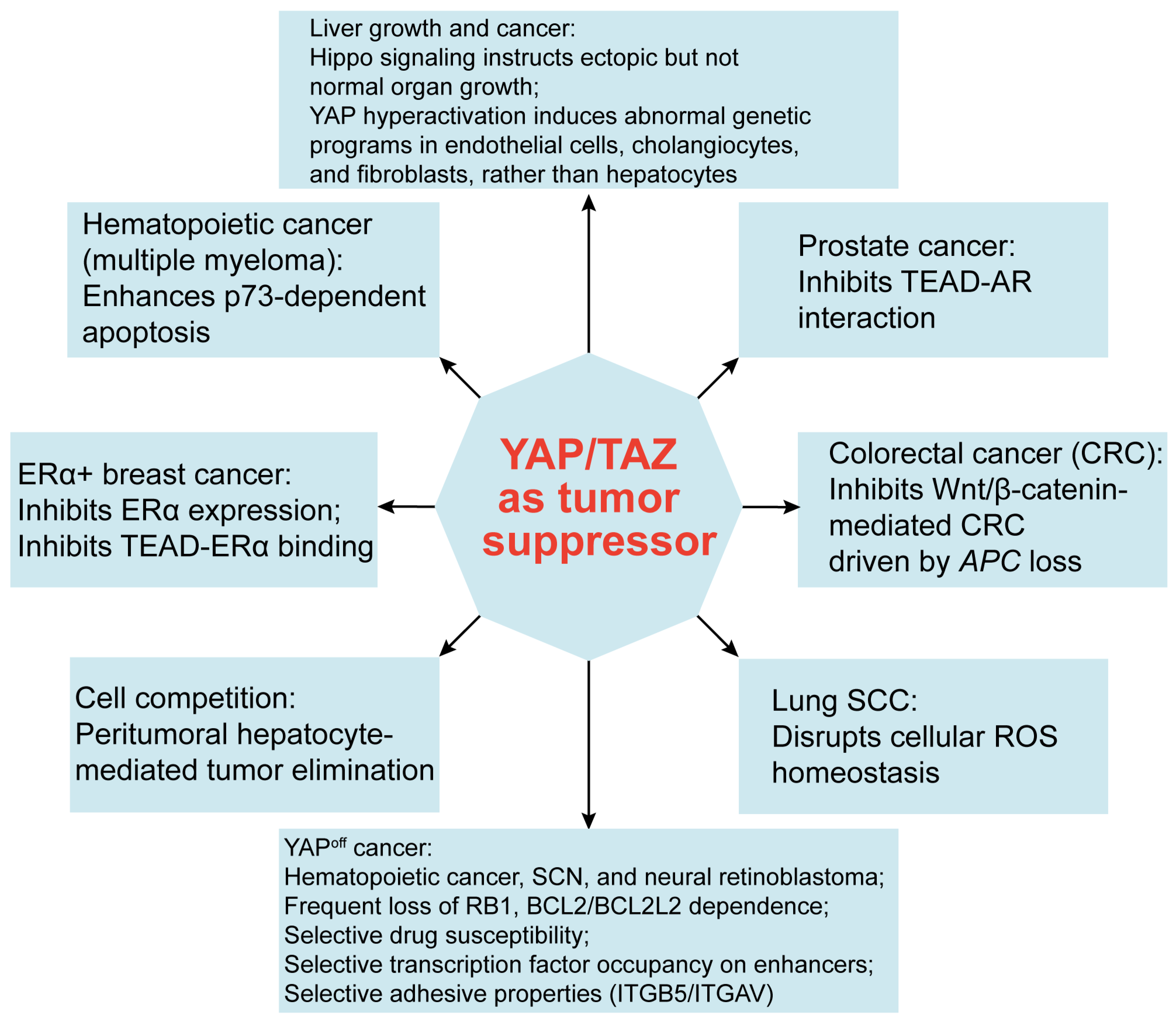 Cancers 15 05497 g004