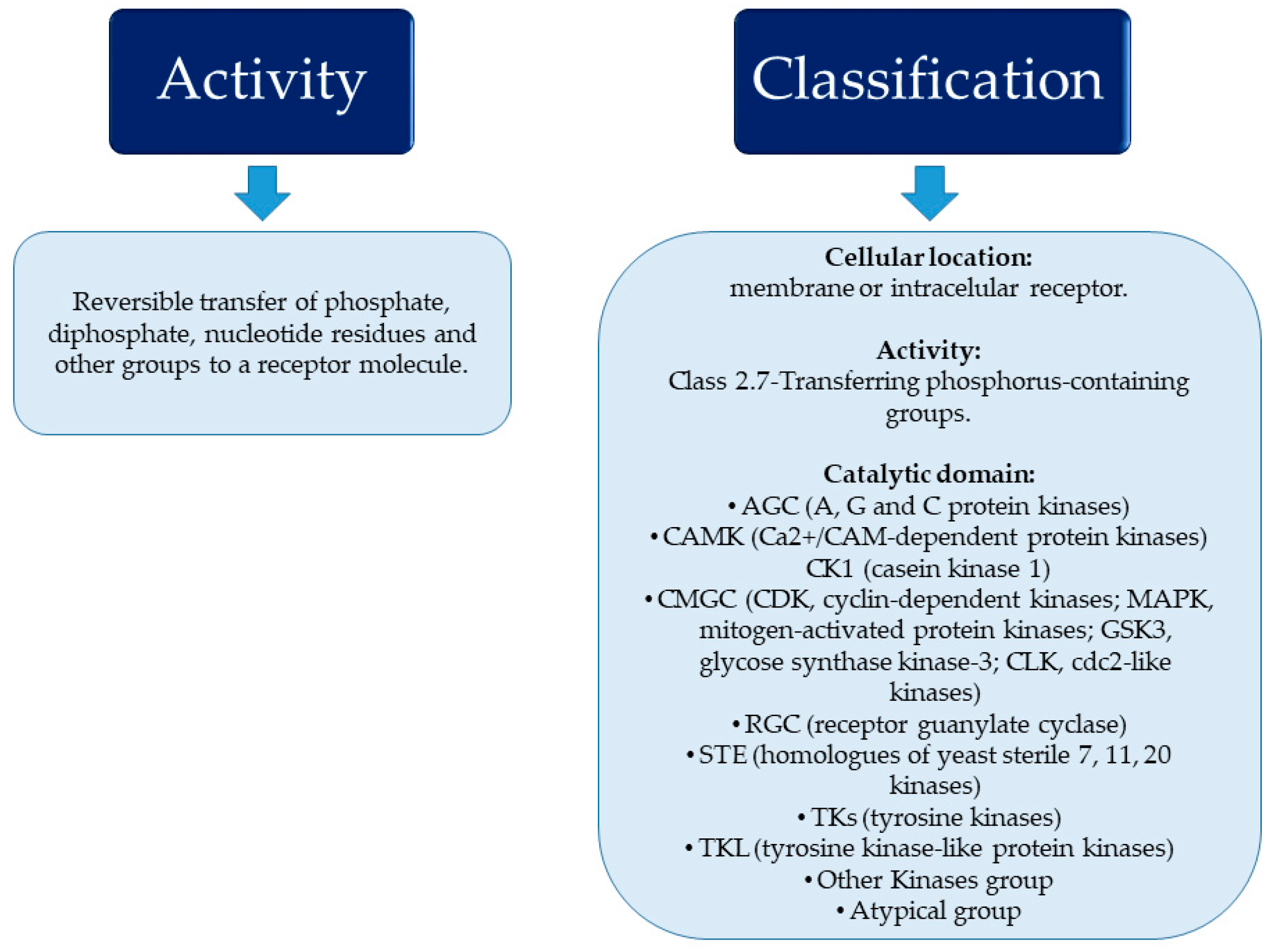 Cancers 15 05499 g001