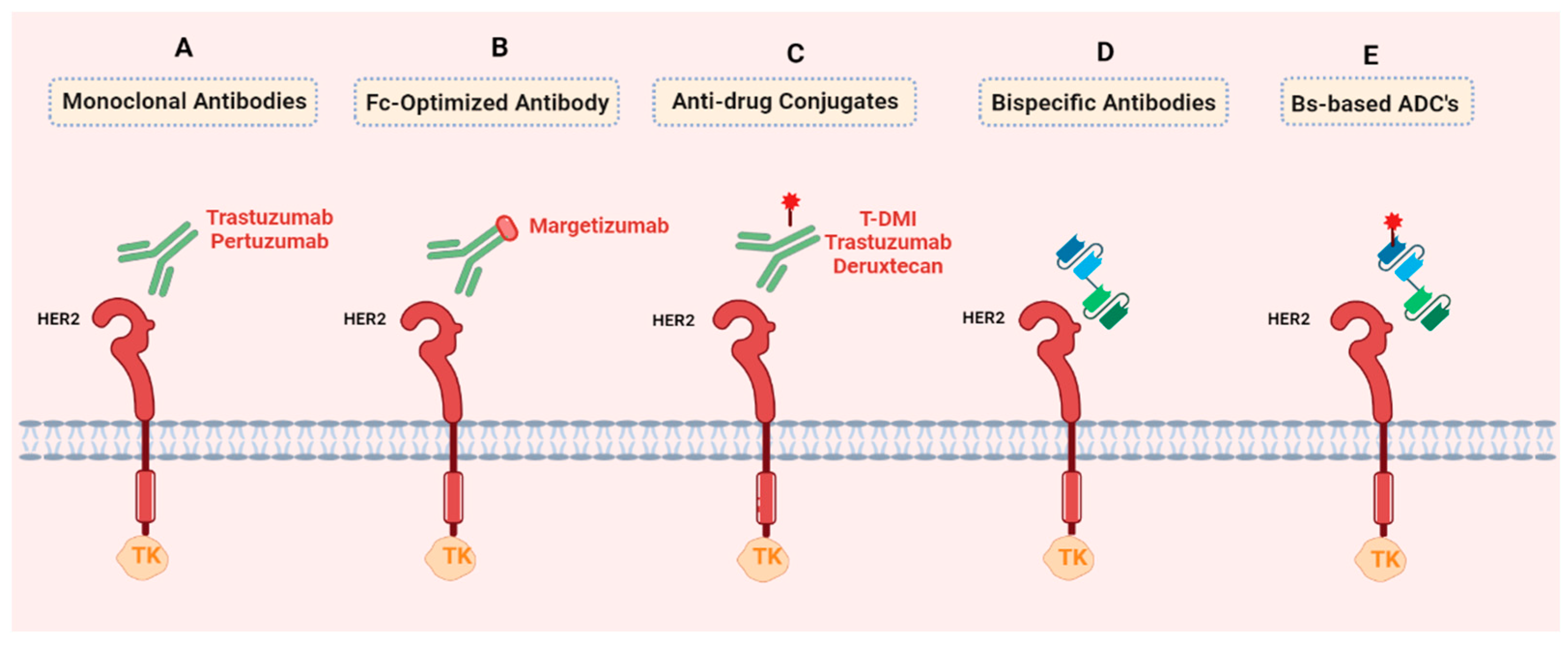 Cancers 15 05499 g003