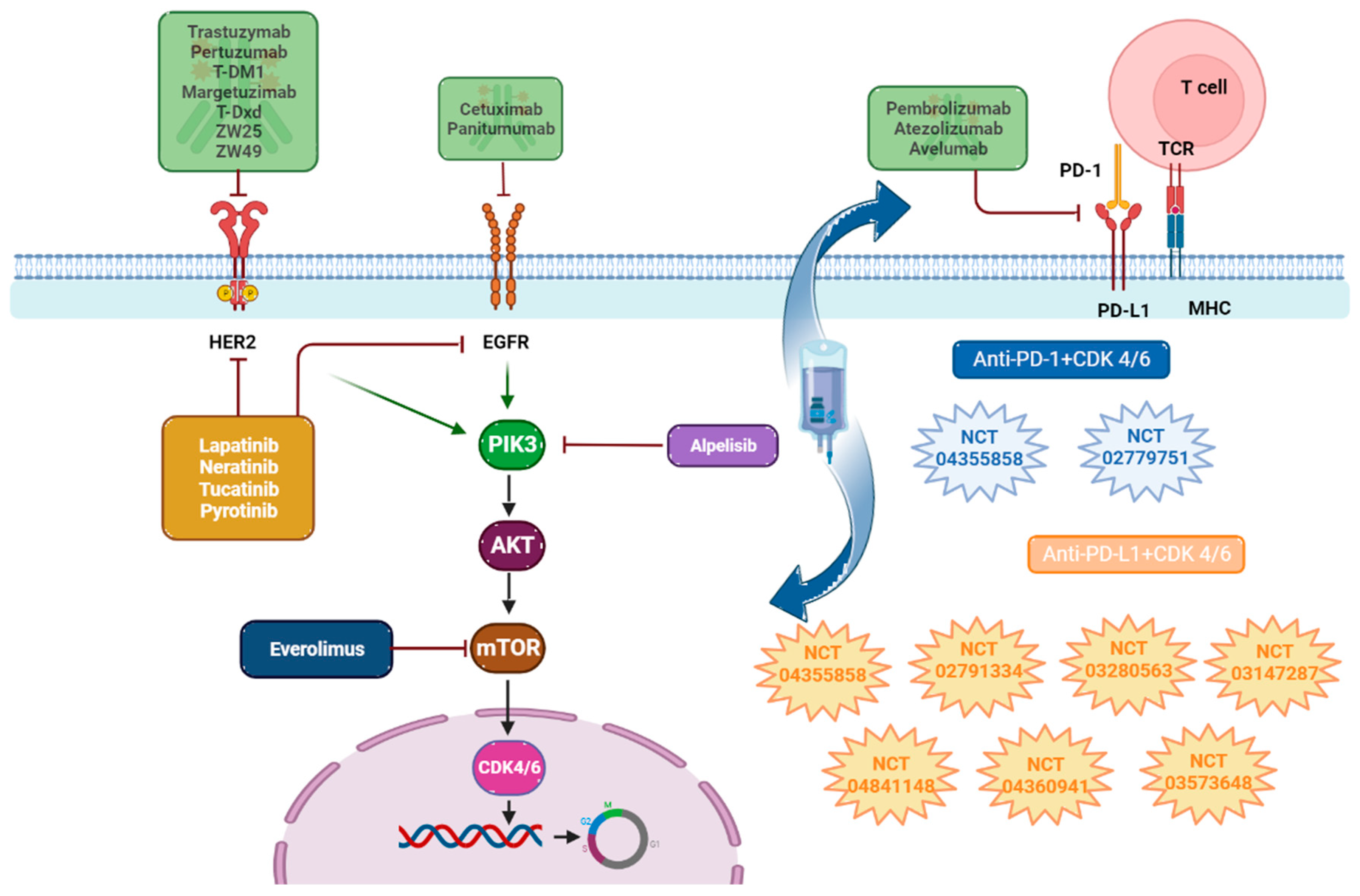 Cancers 15 05499 g004