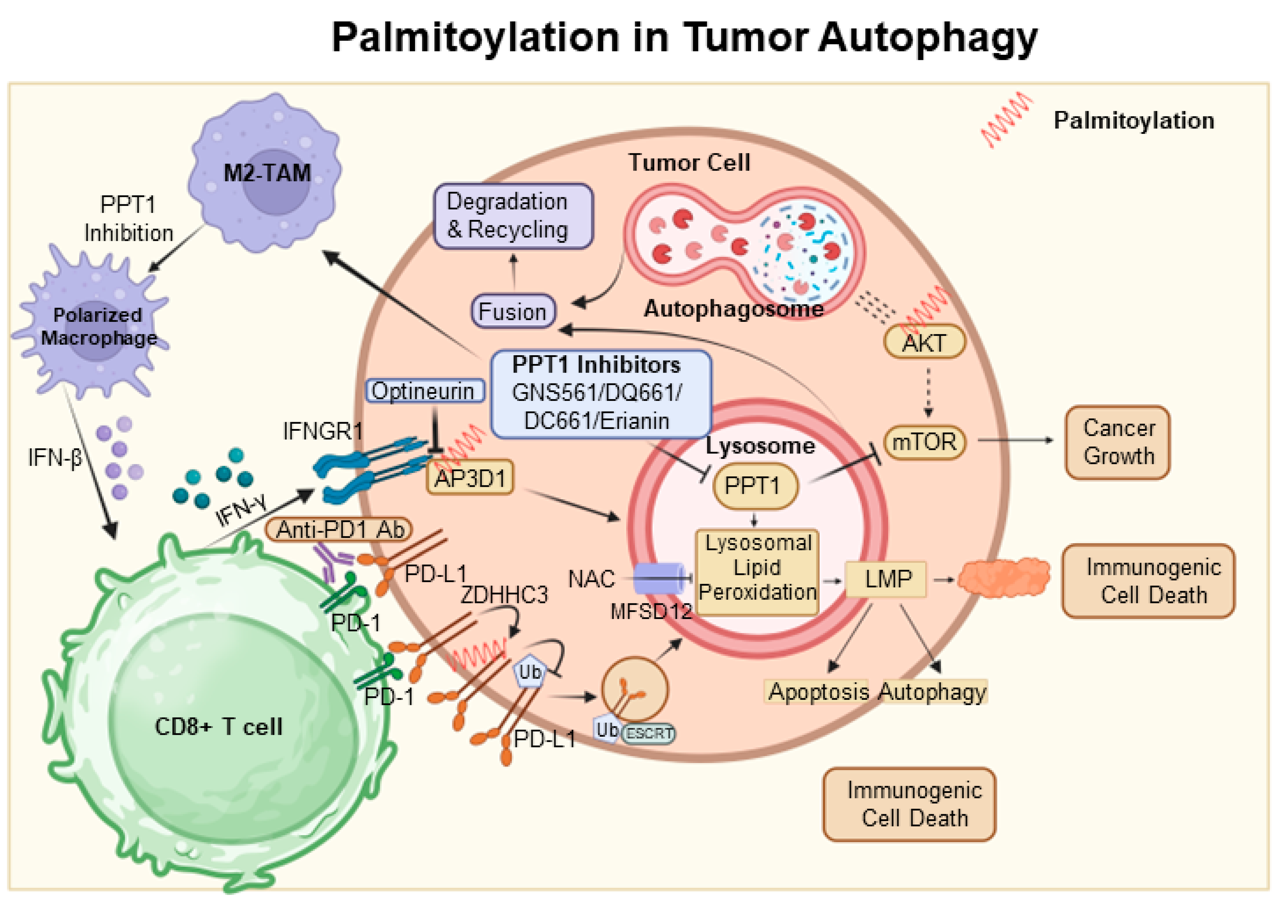 Cancers 15 05503 g003