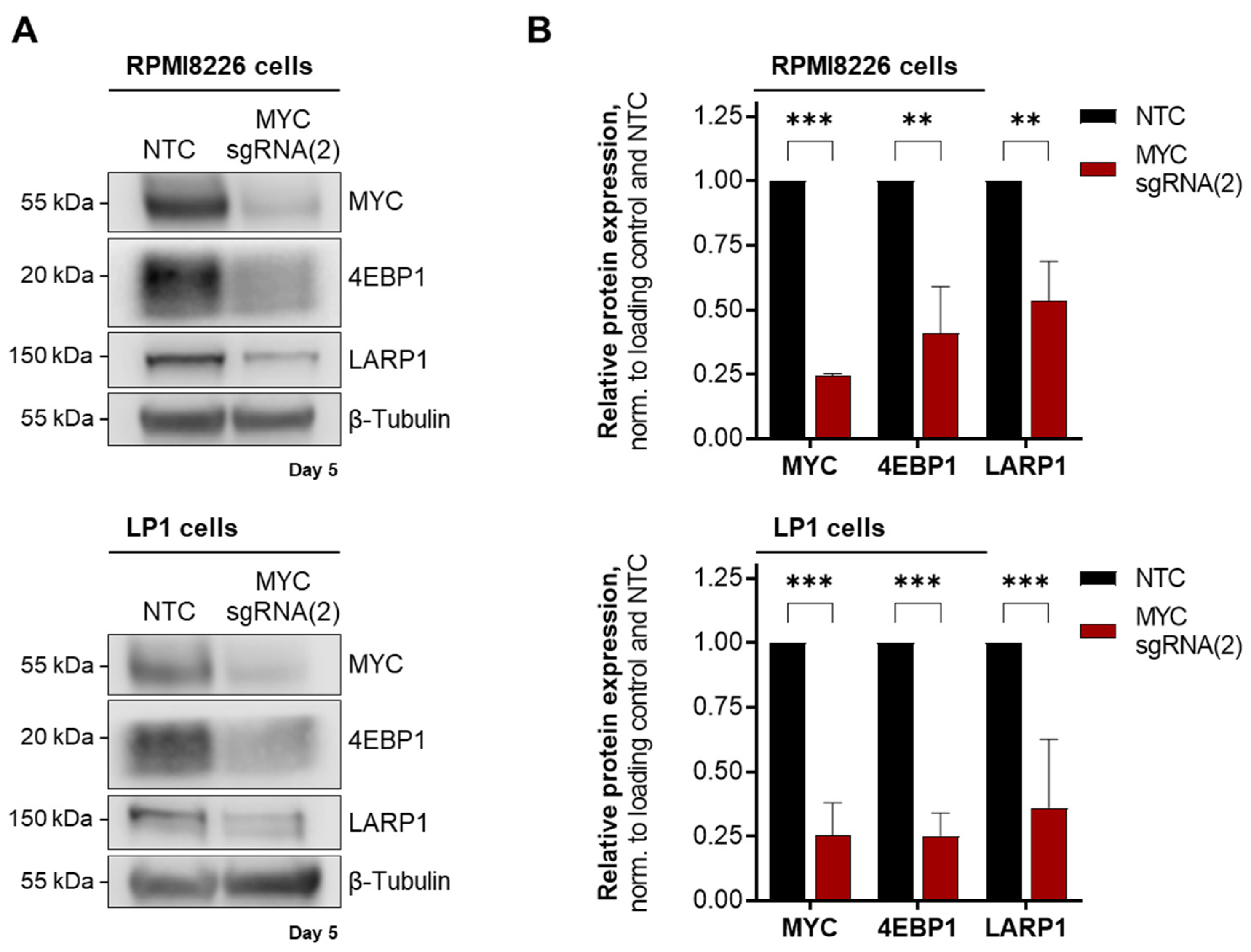 Cancers 15 05508 g004