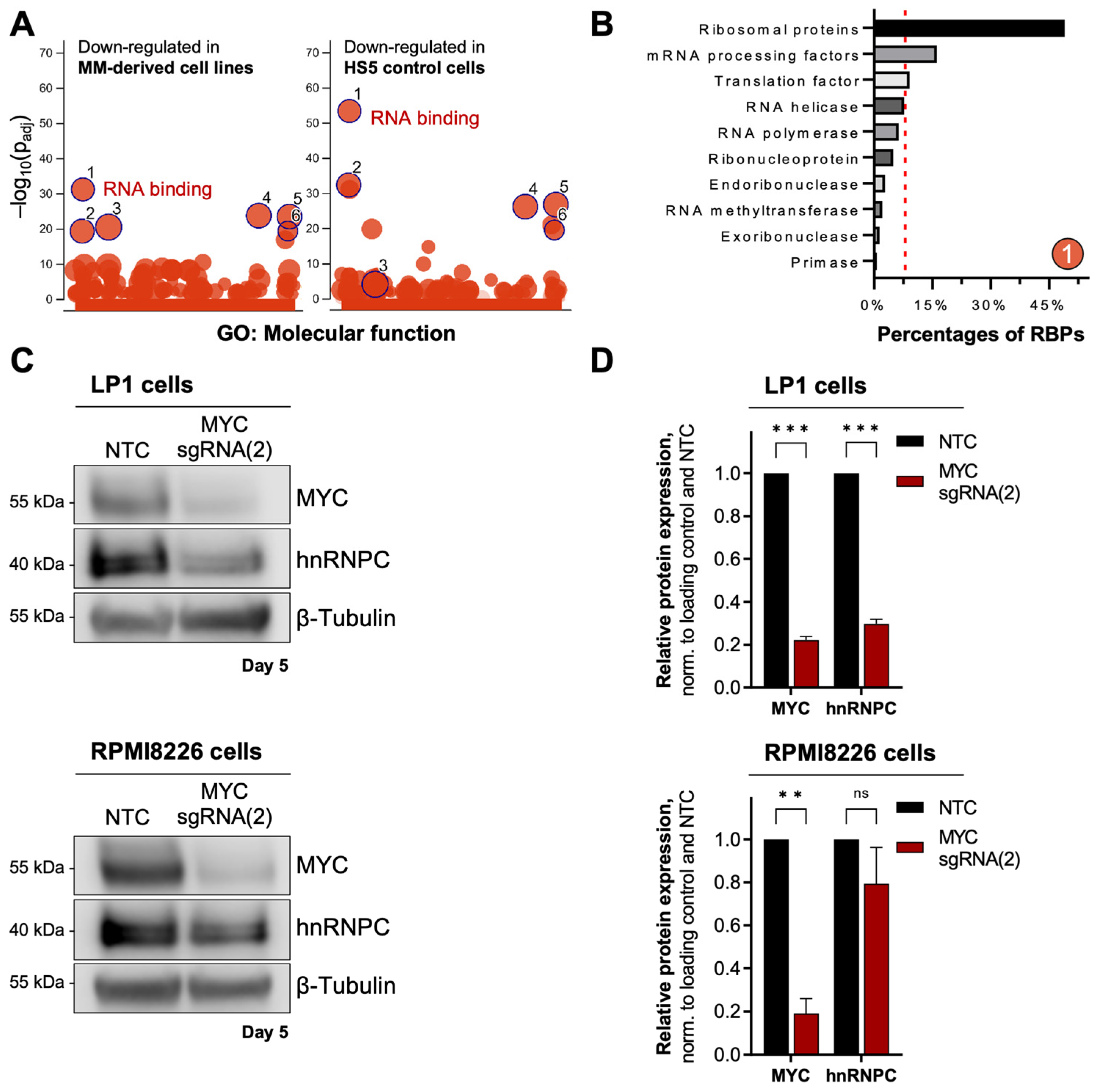 Cancers 15 05508 g005