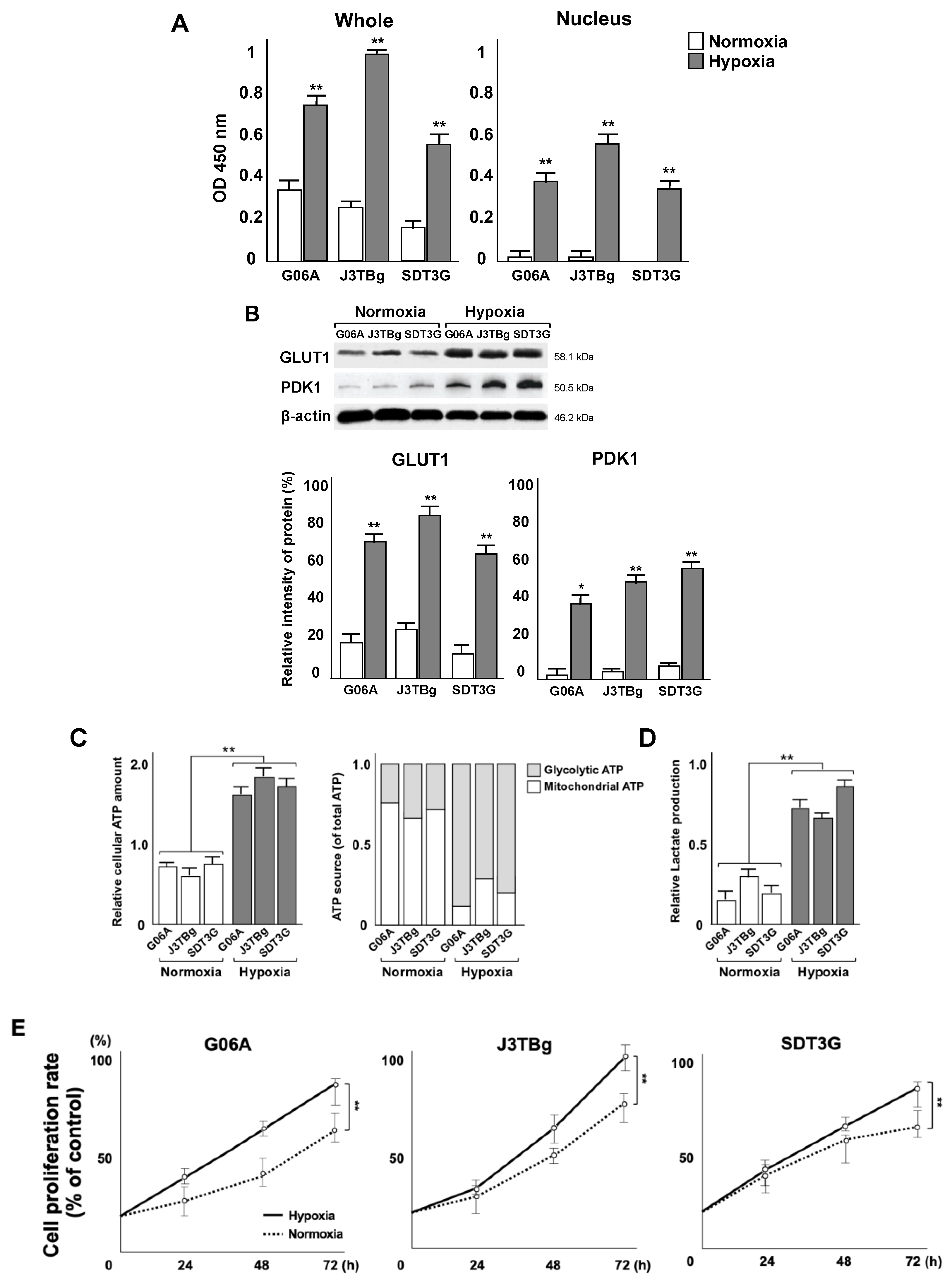 Cancers 15 05537 g002