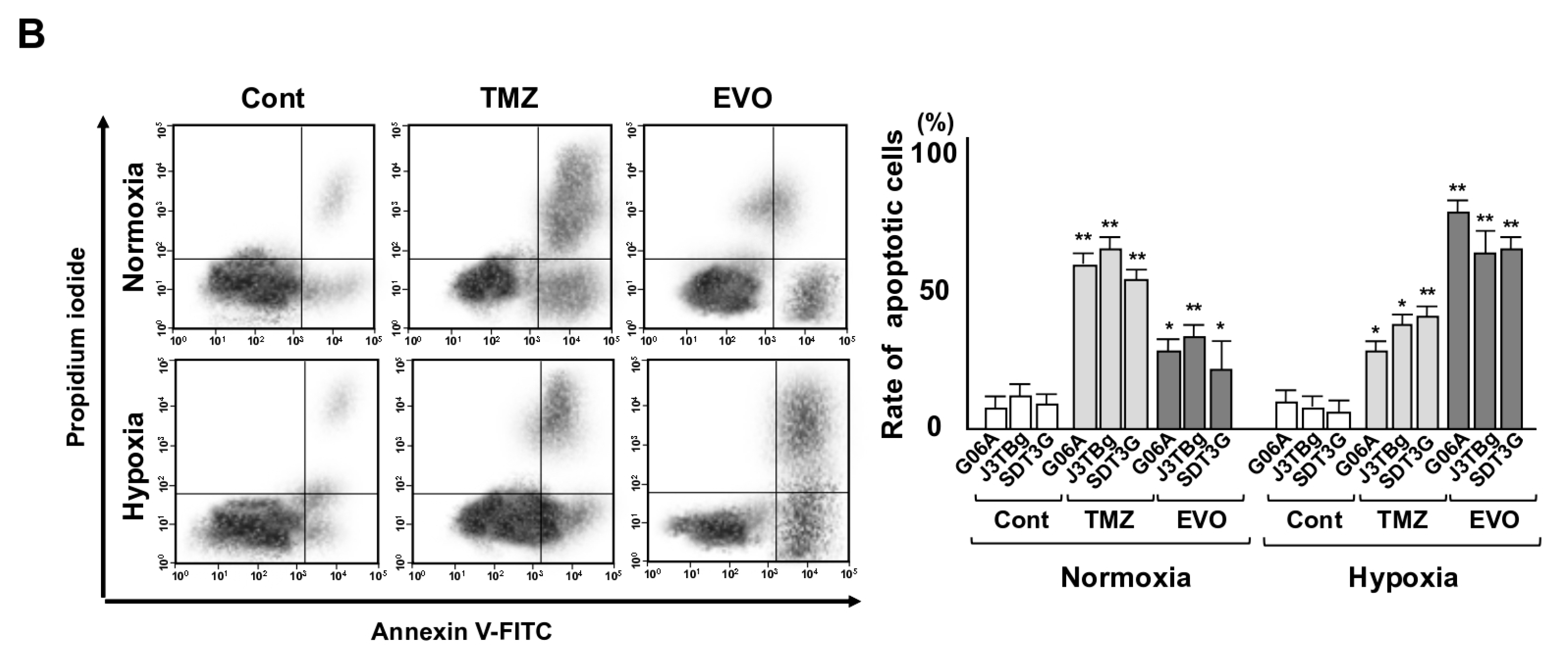 Cancers 15 05537 g003b