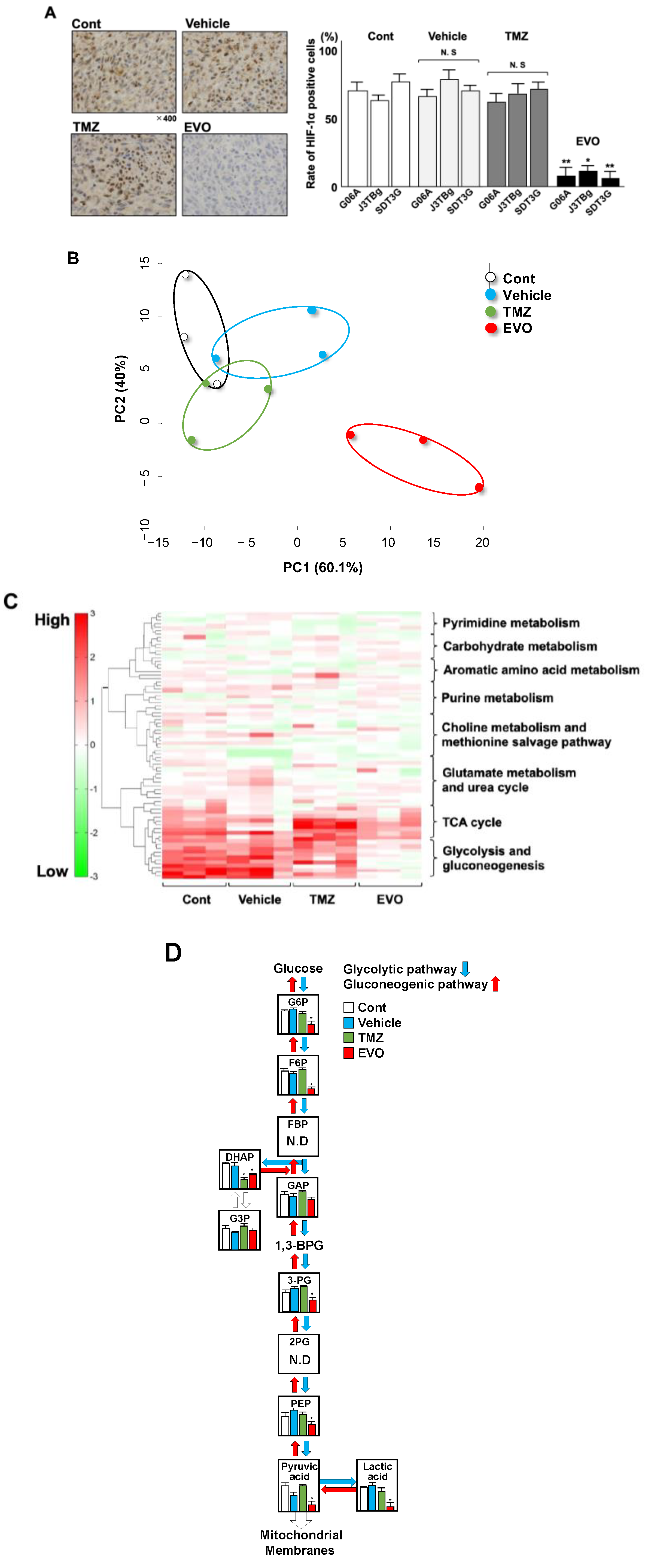 Cancers 15 05537 g007