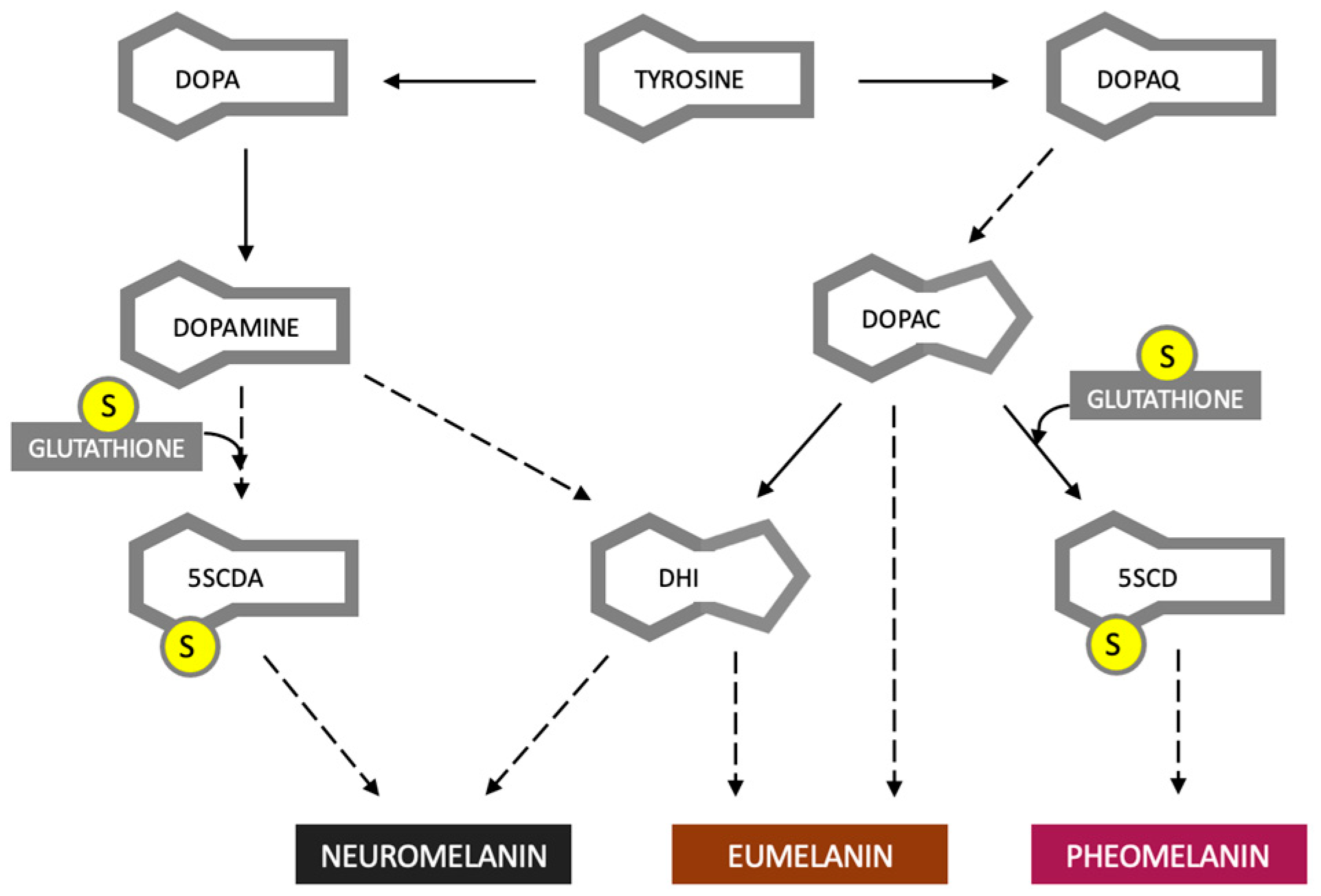 Cancers 15 05541 g001