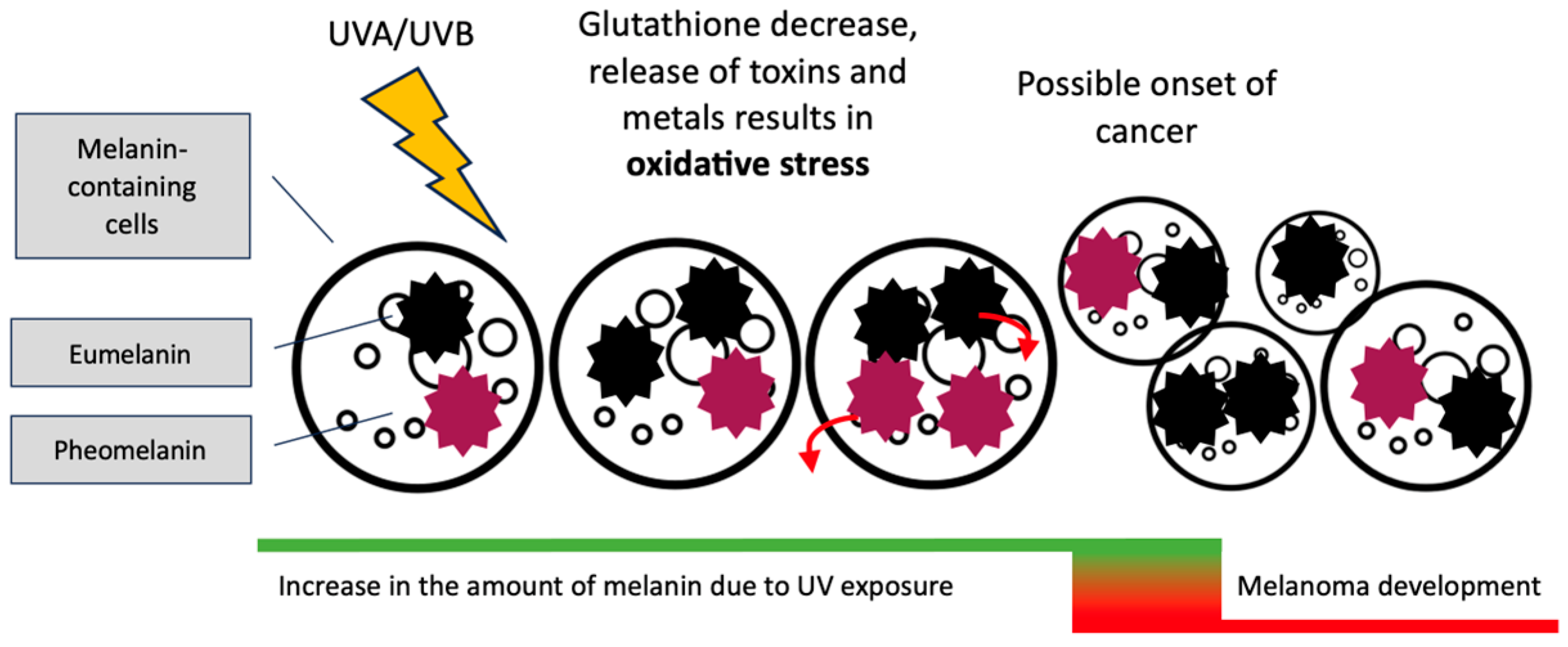 Cancers 15 05541 g002