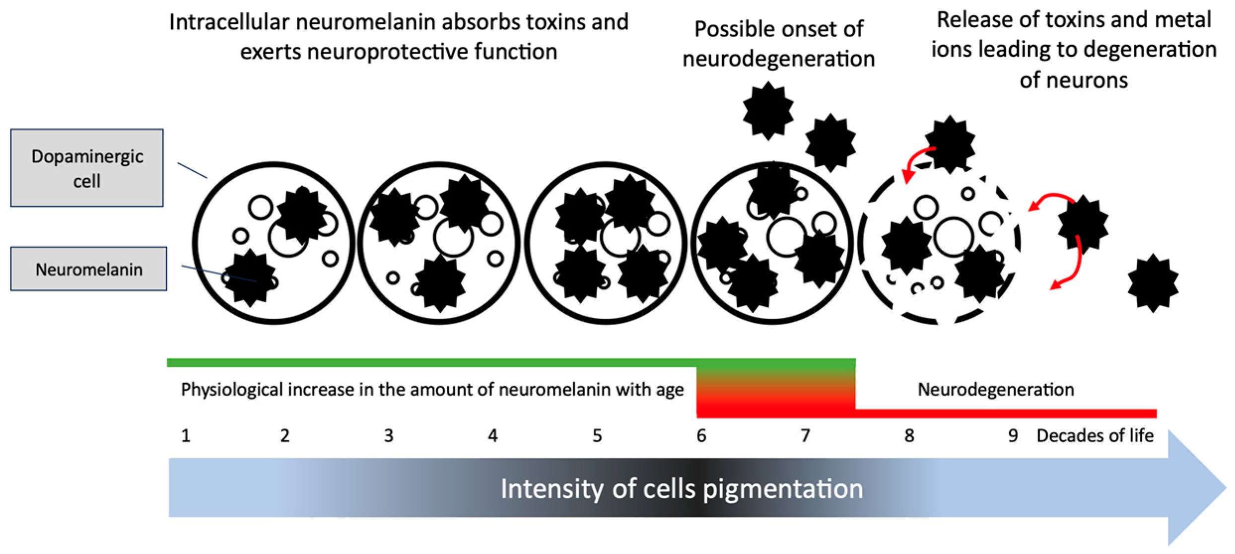 Cancers 15 05541 g003