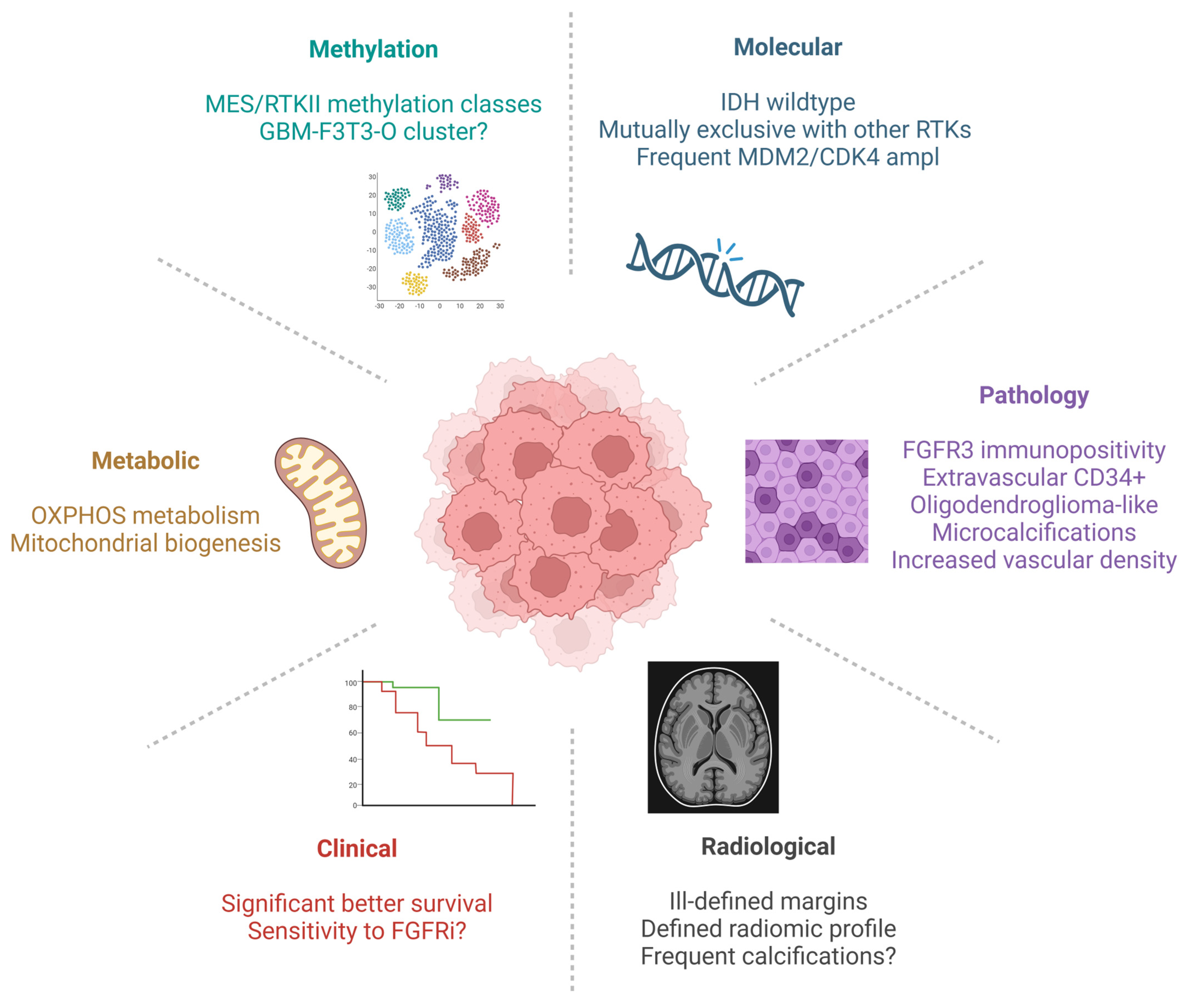 Cancers 15 05555 g002