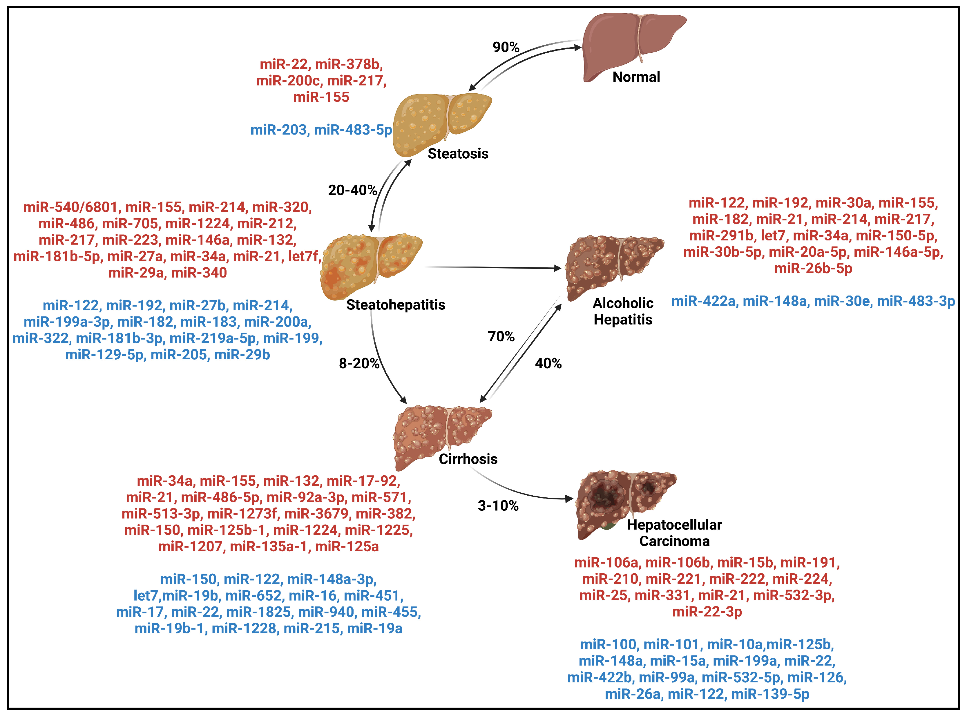 Cancers 15 05557 g001