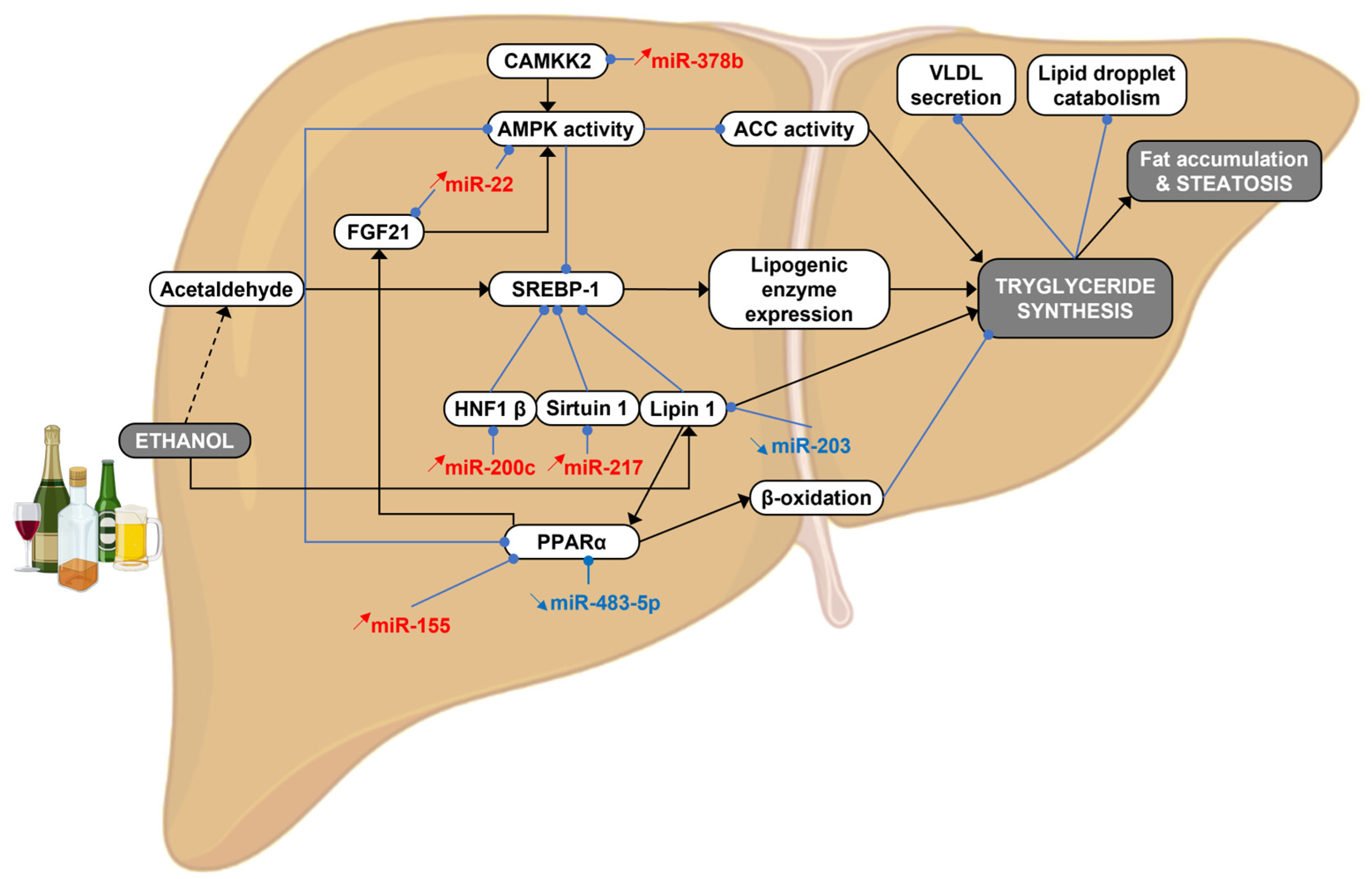 Cancers 15 05557 g002