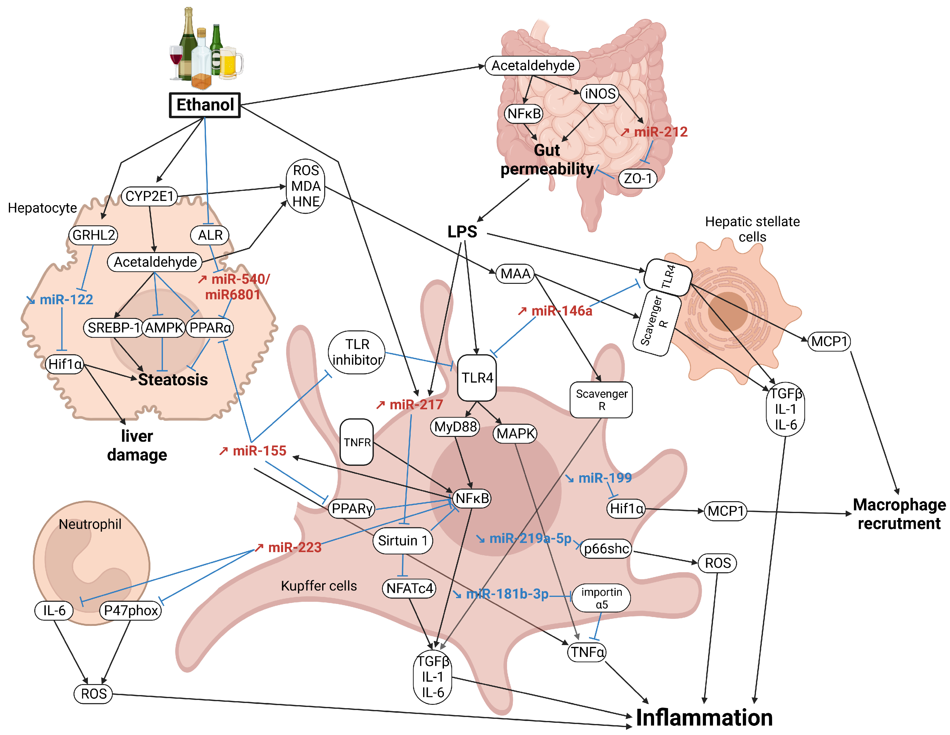 Cancers 15 05557 g003