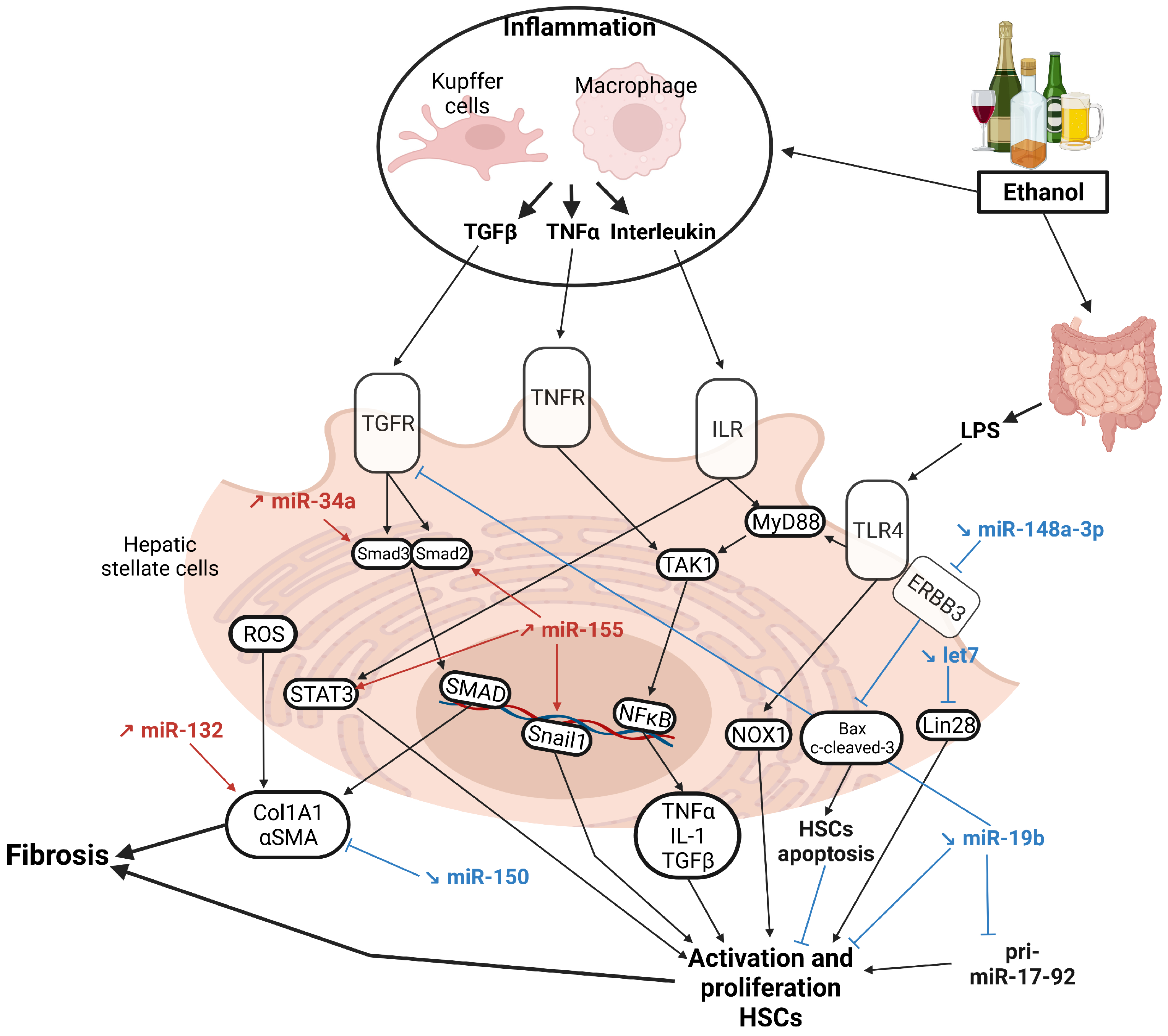 Cancers 15 05557 g004