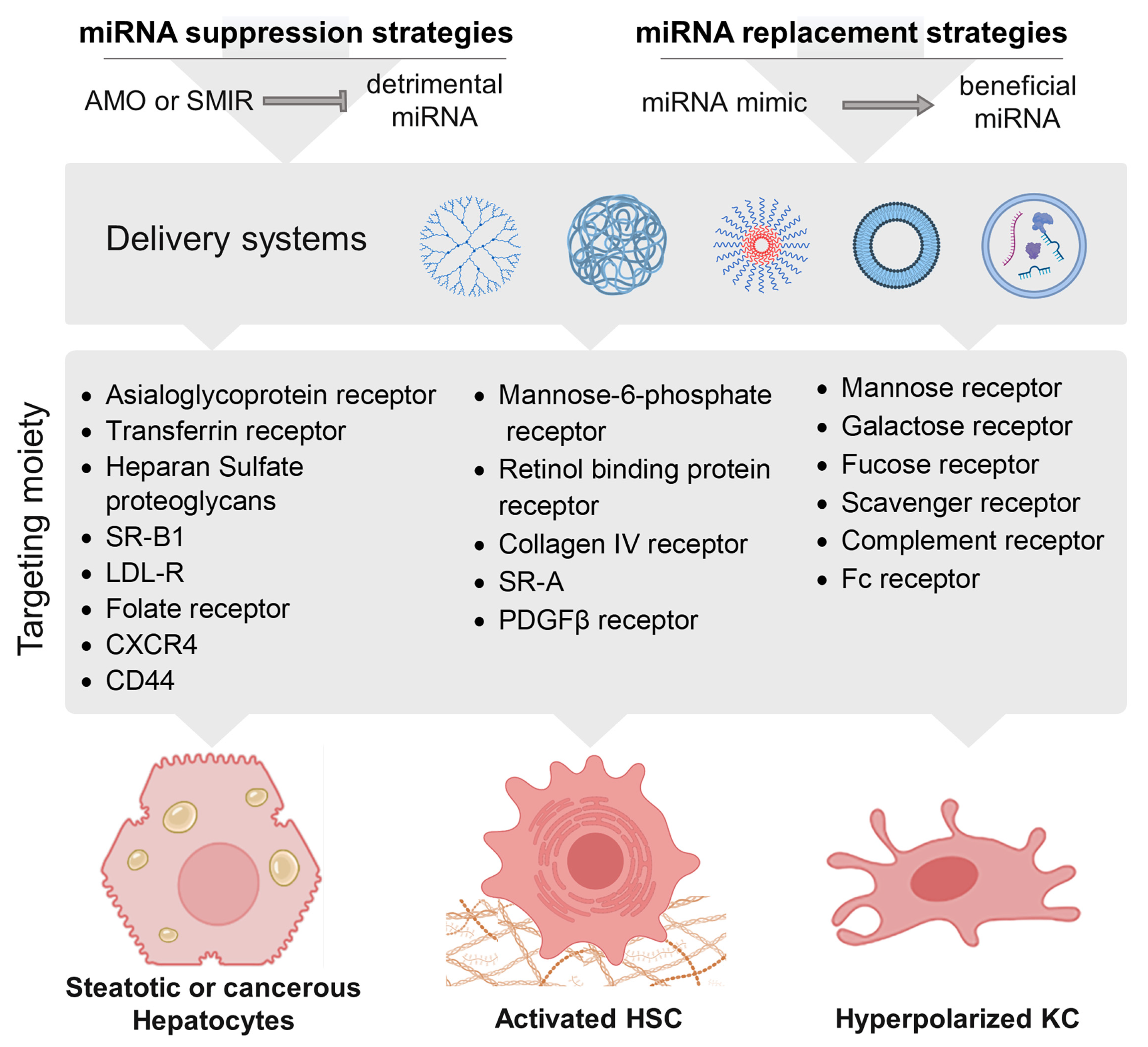 Cancers 15 05557 g007