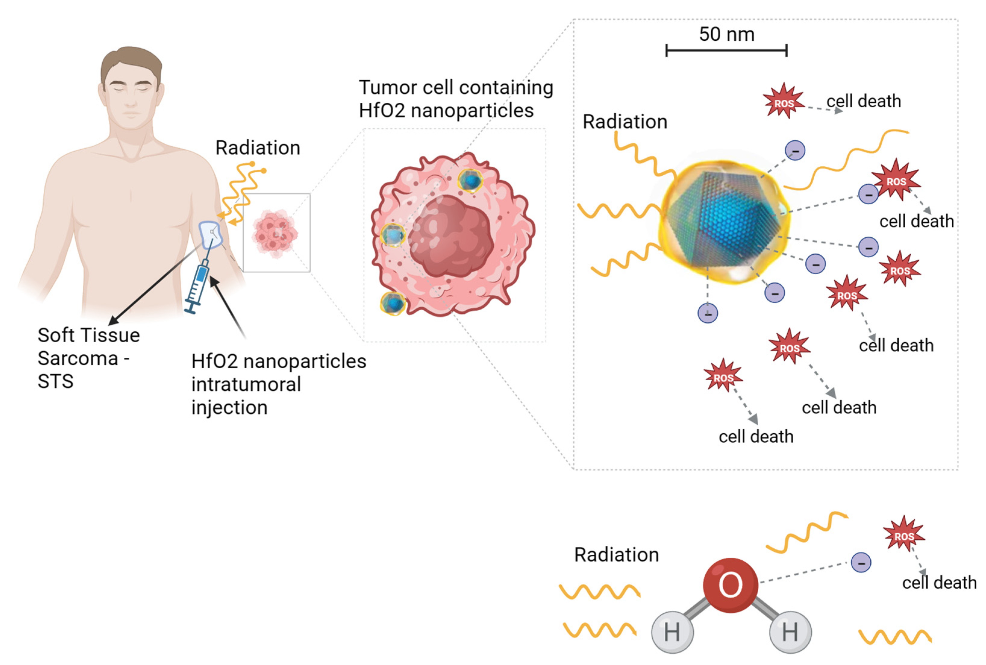 Cancers 15 05572 g002