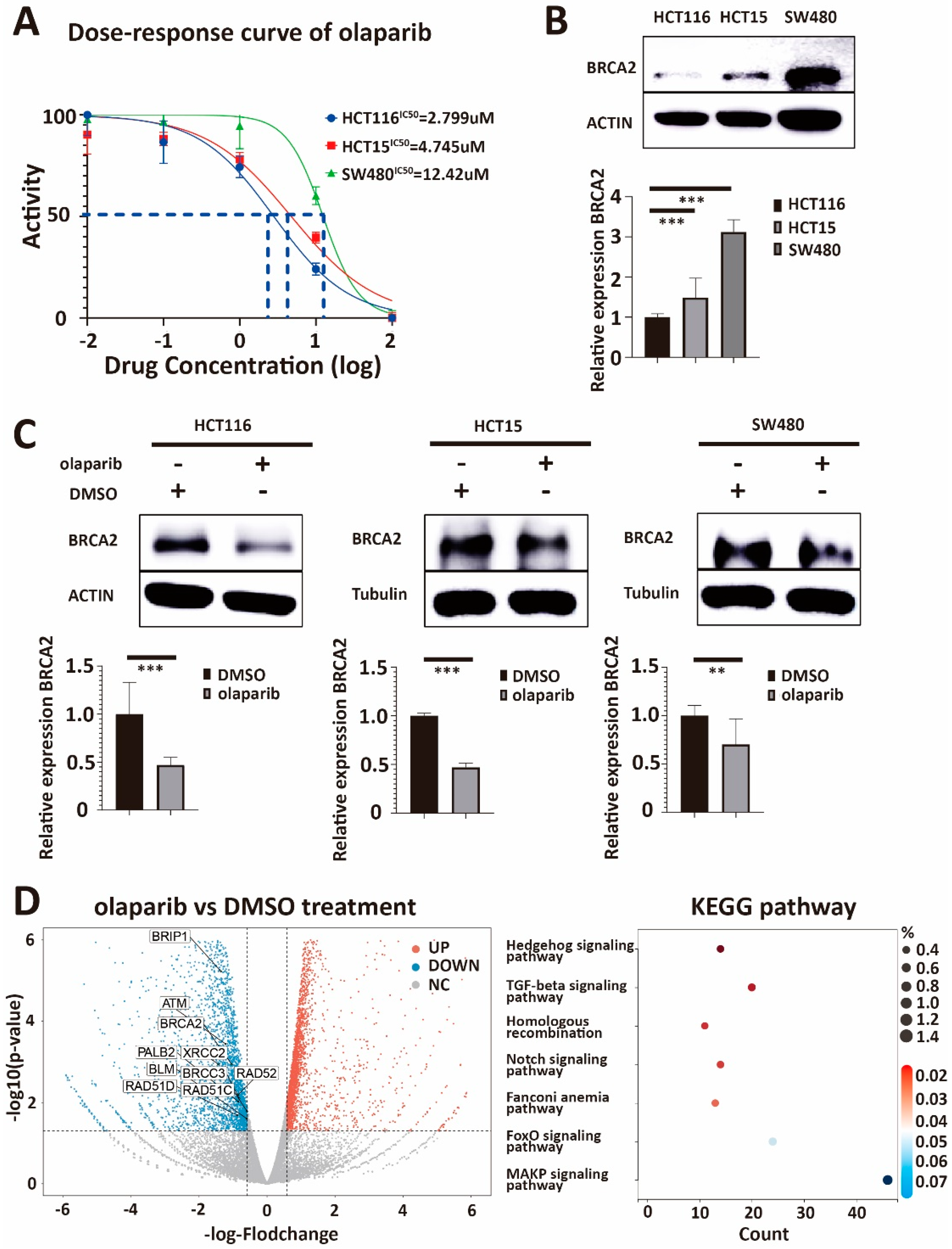 Cancers 15 05580 g001 Cancers 15 05580 g001