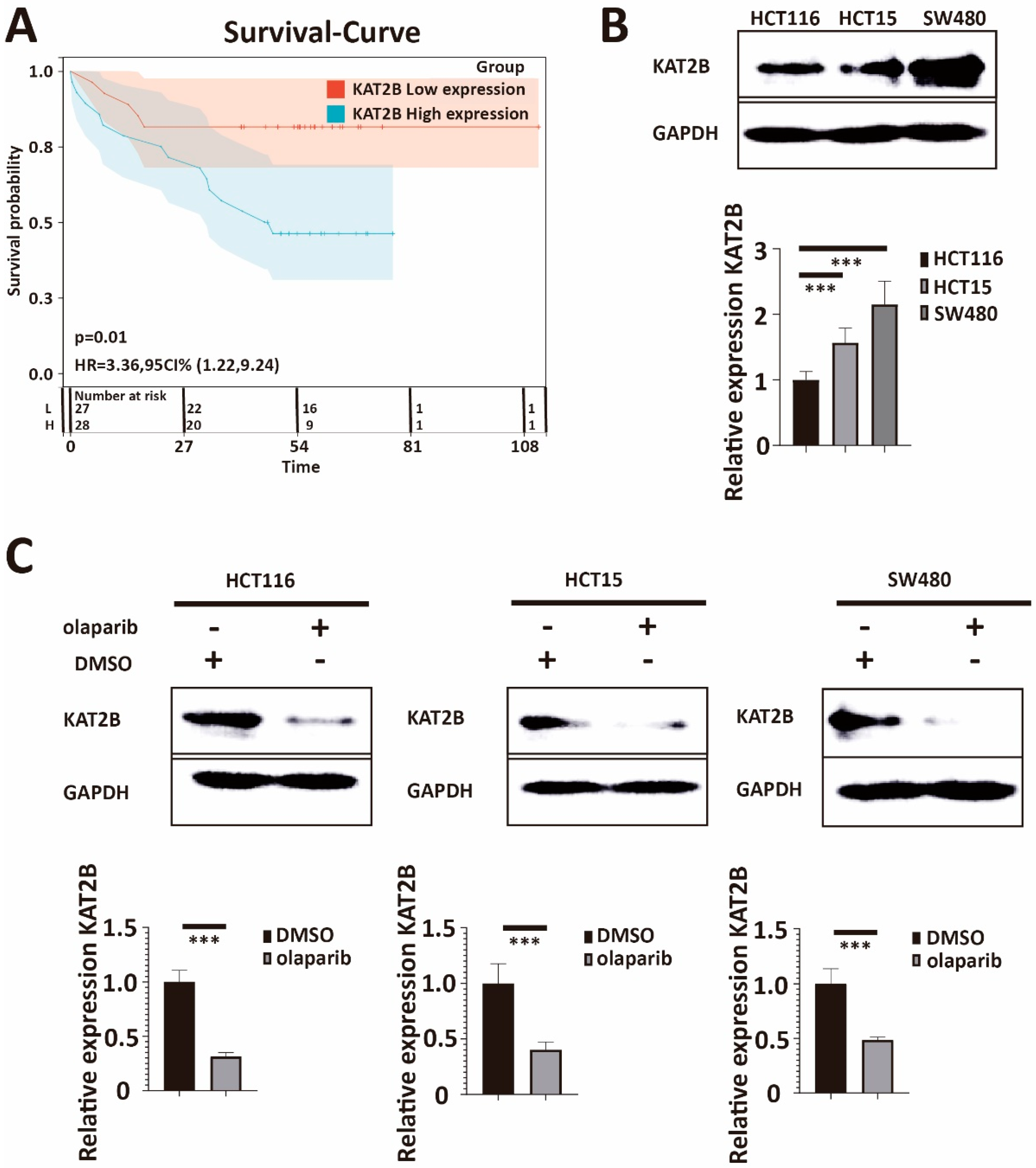 Cancers 15 05580 g003 Cancers 15 05580 g003