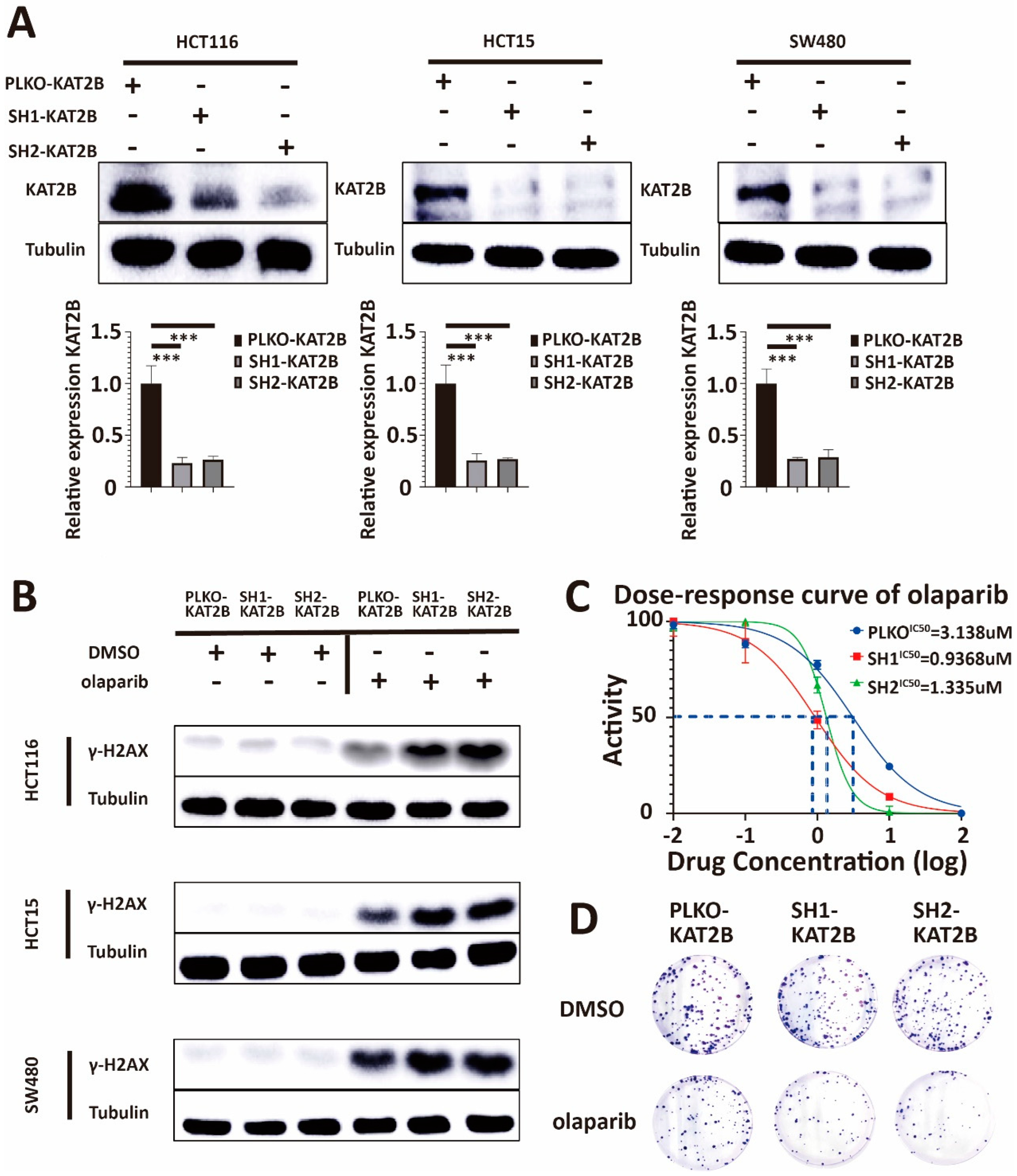 Cancers 15 05580 g004 Cancers 15 05580 g004