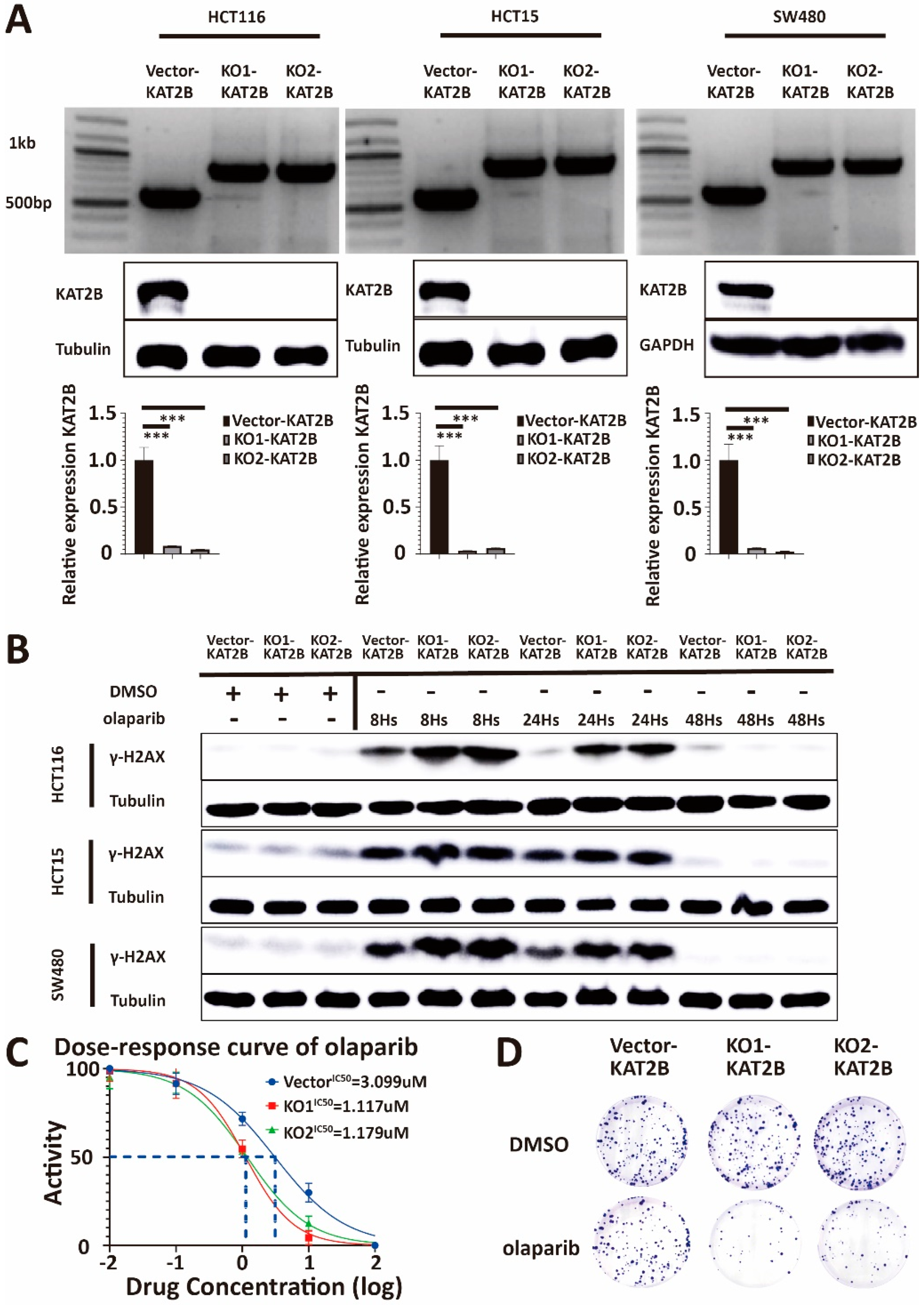 Cancers 15 05580 g005 Cancers 15 05580 g005