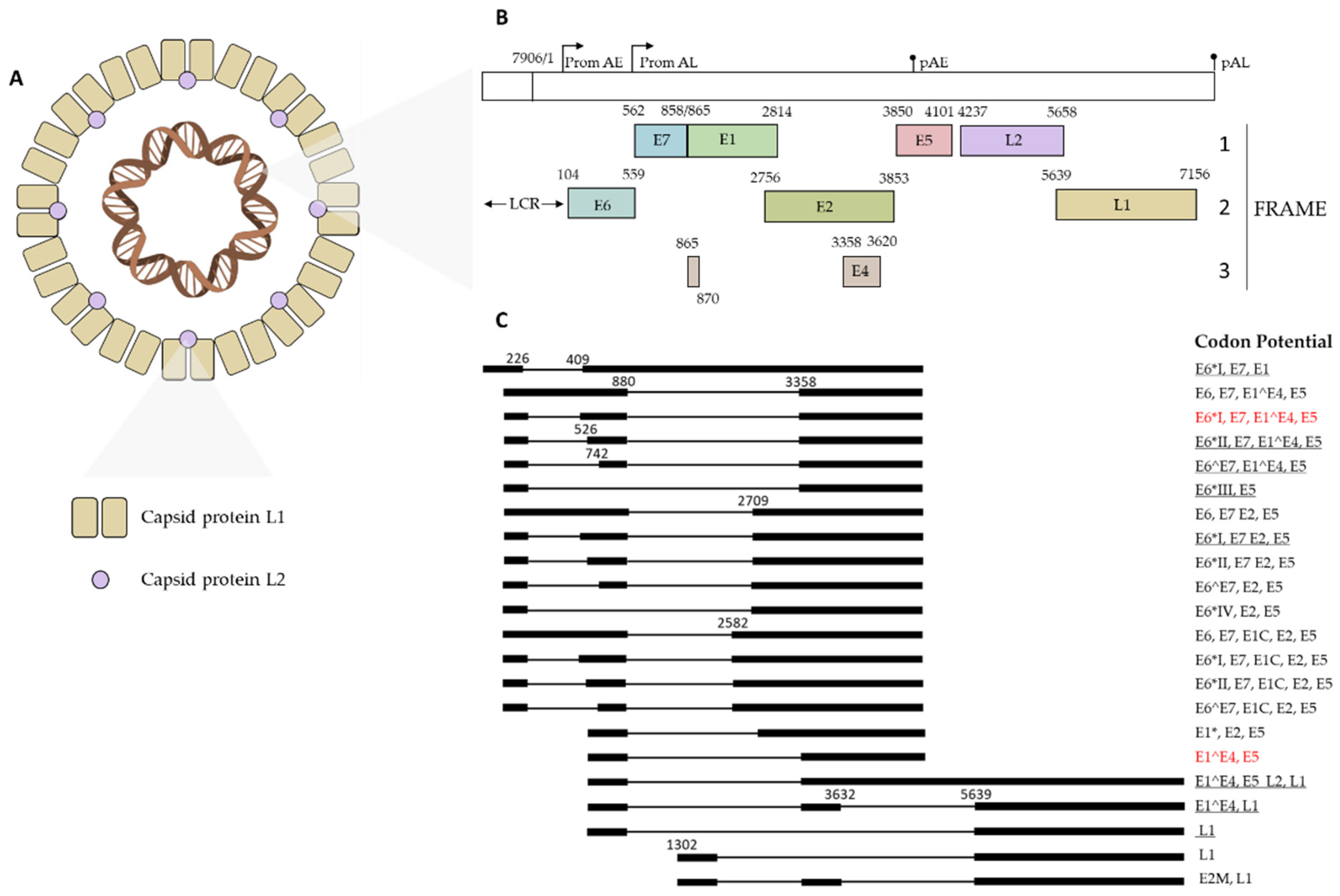 Cancers 15 05583 g001