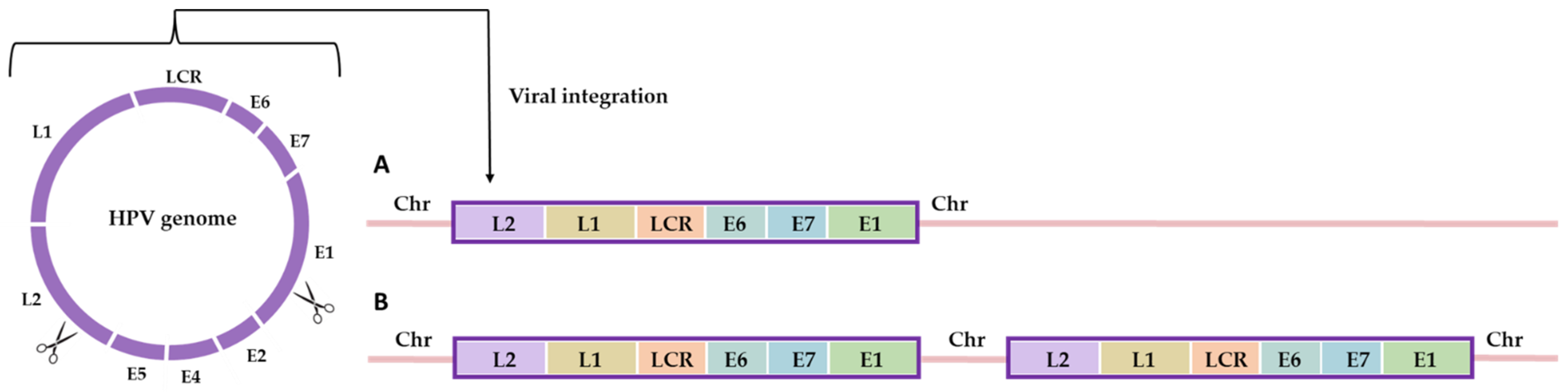 Cancers 15 05583 g003