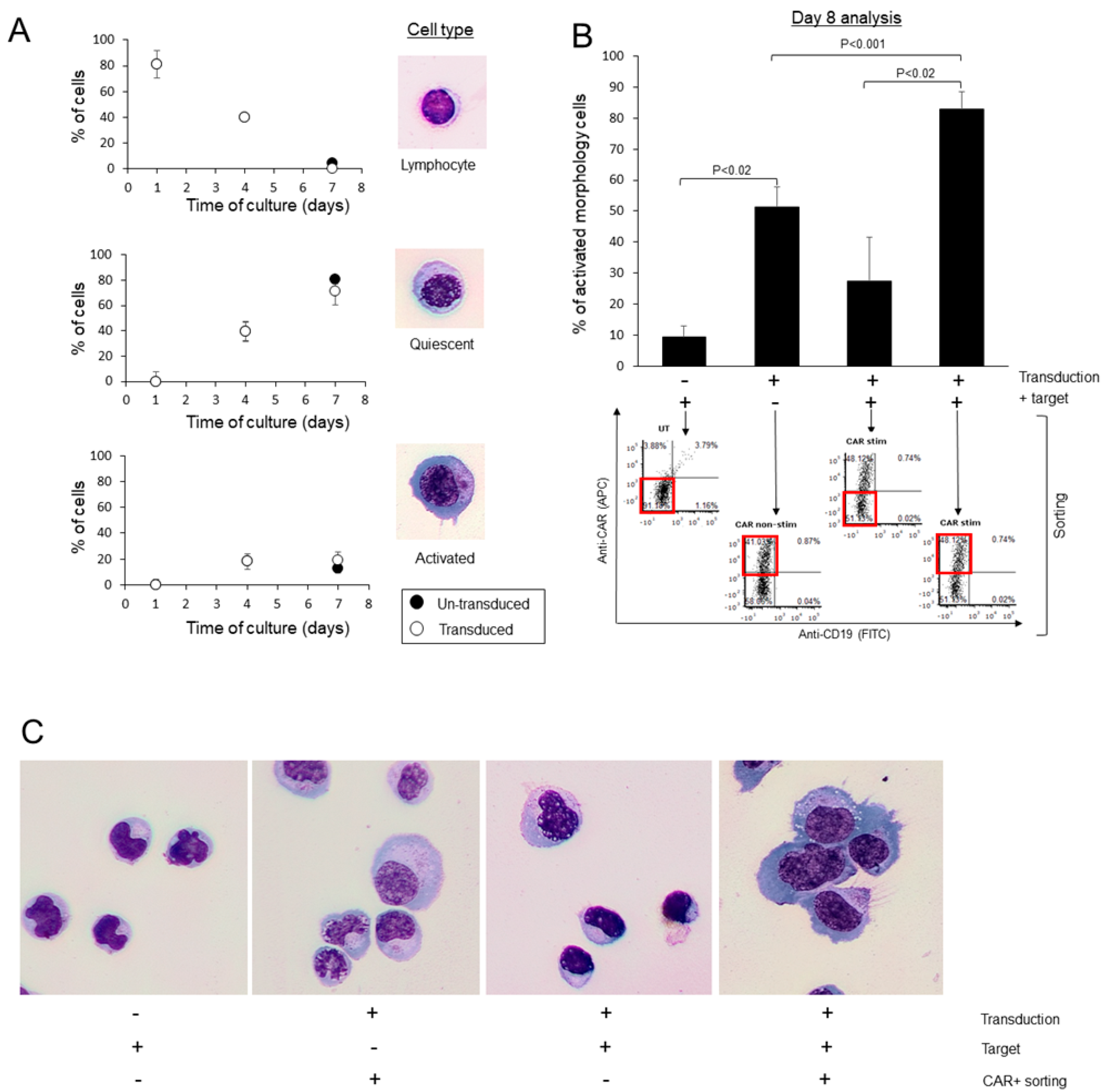 Cancers 15 05611 g003