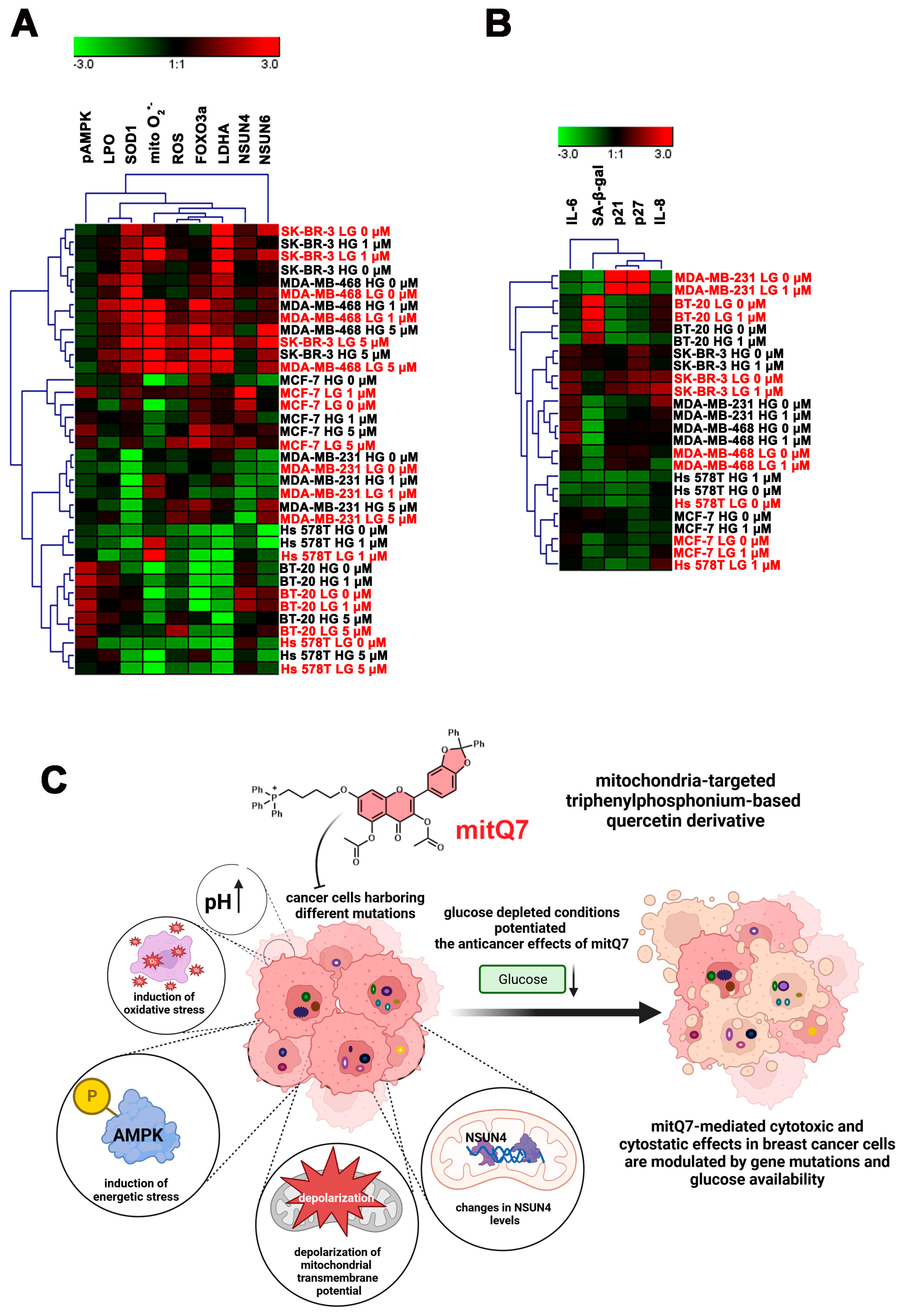 Cancers 15 05614 g009