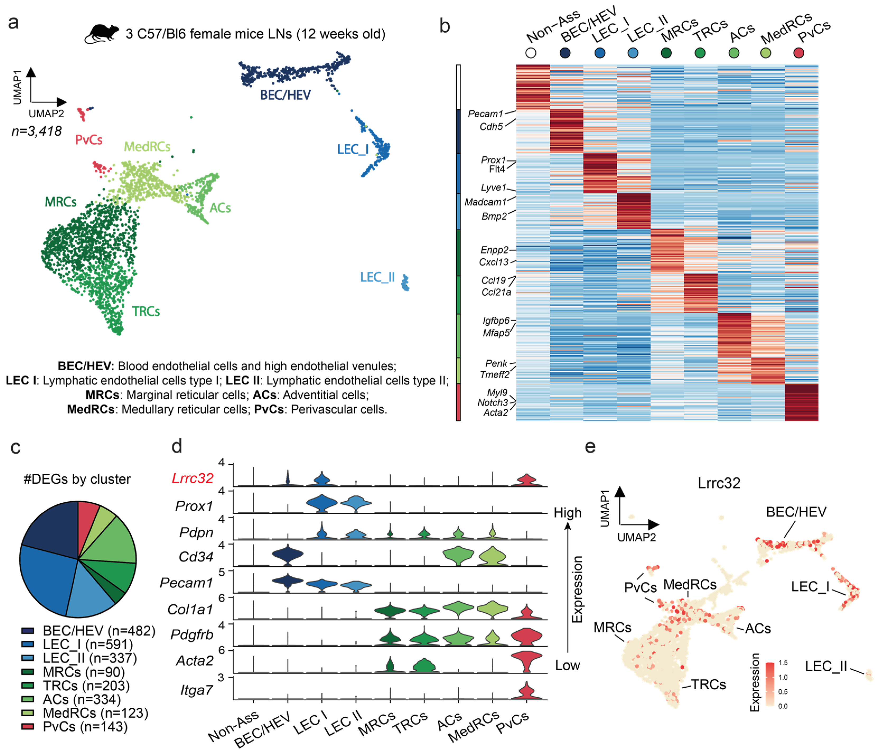 Cancers 15 05621 g005