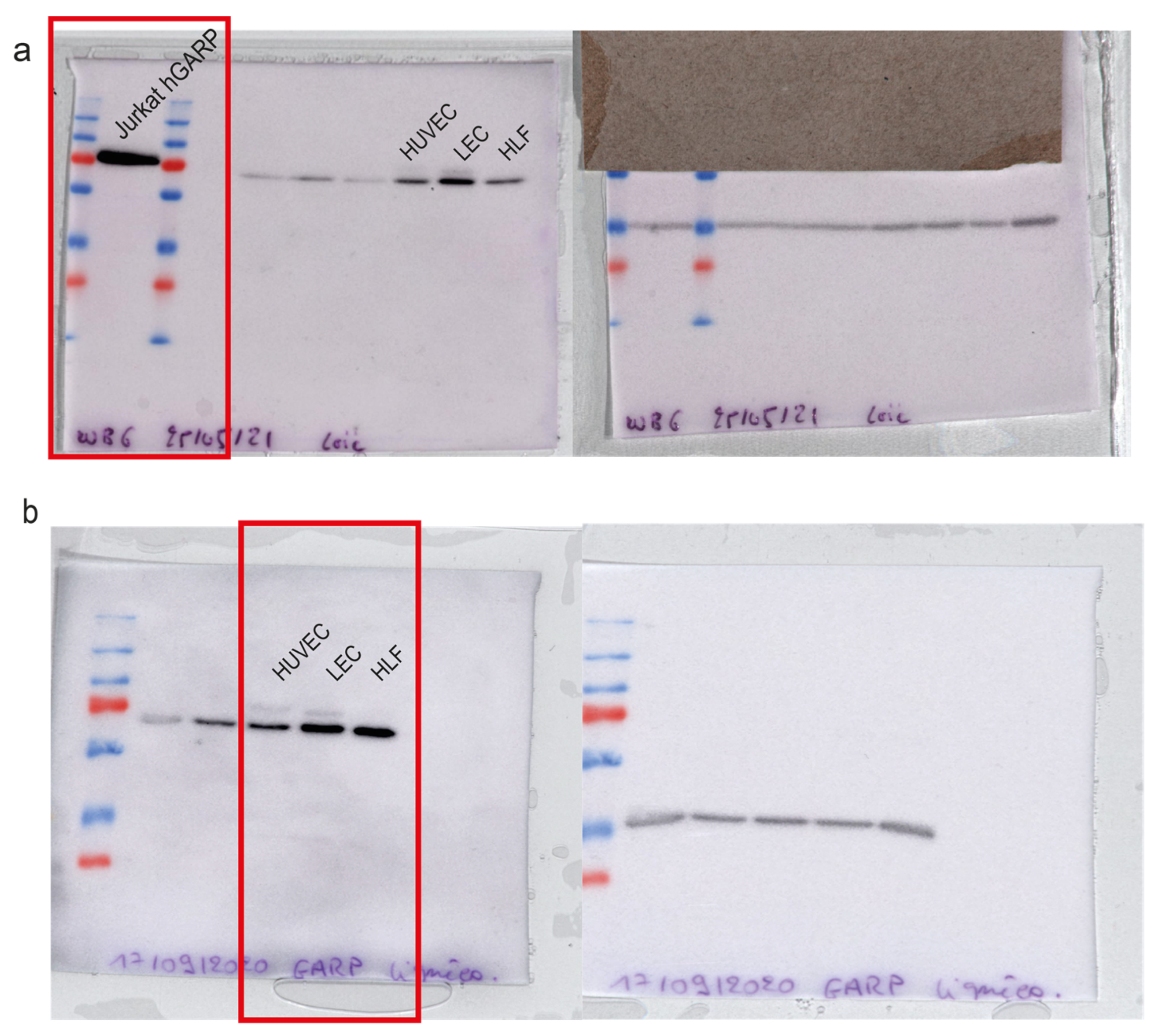 Cancers 15 05621 g0a1