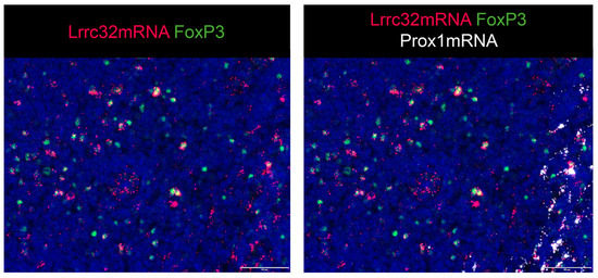 Cancers 15 05621 g0a3