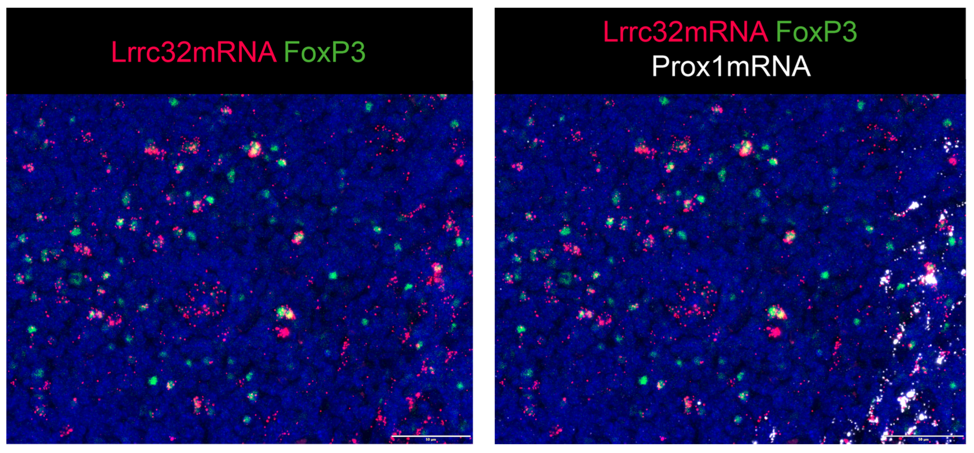 Cancers 15 05621 g0a3