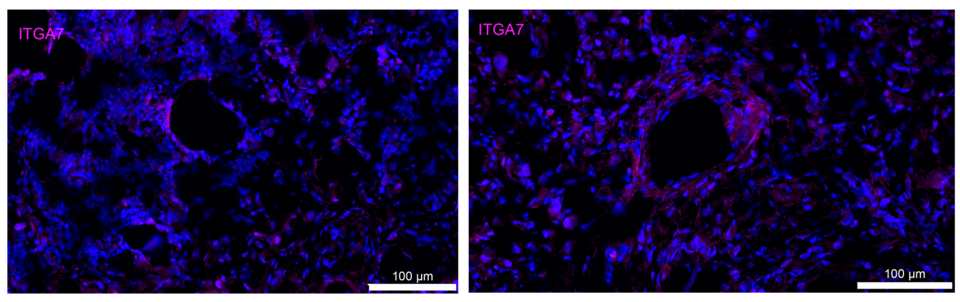 Cancers 15 05621 g0a4